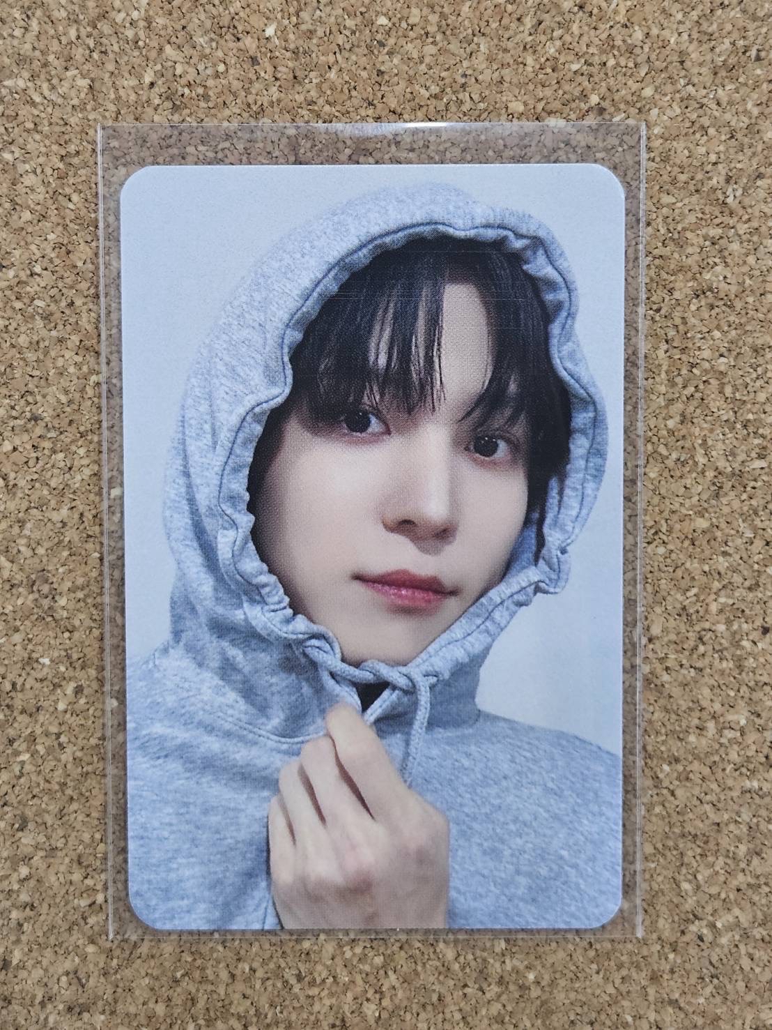 GH3 ms 4.0簽售卡帽踢狗狗🐶