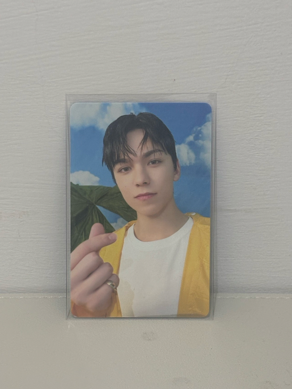 崔瀚率 Vernon
