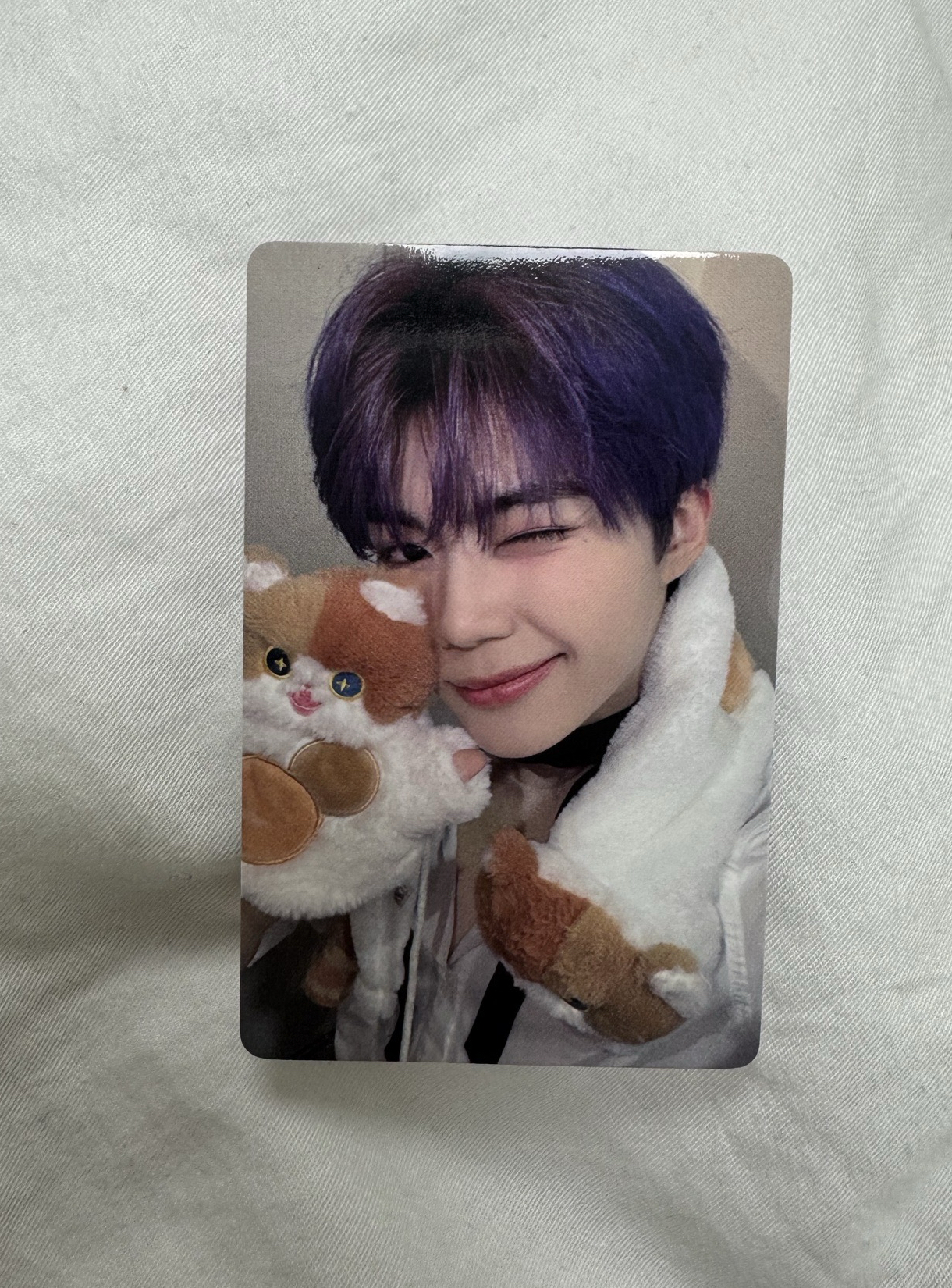 旭 迷四 yzy胖貓