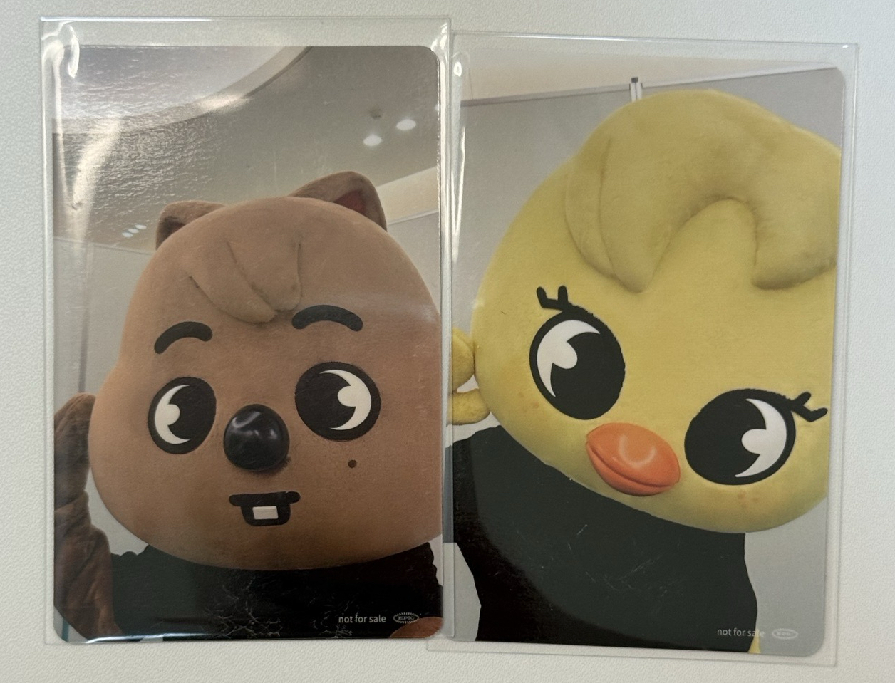 塔店靜岡場限城菲