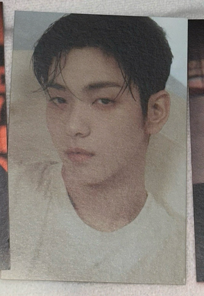 崔秀彬｜明信片白衣兔