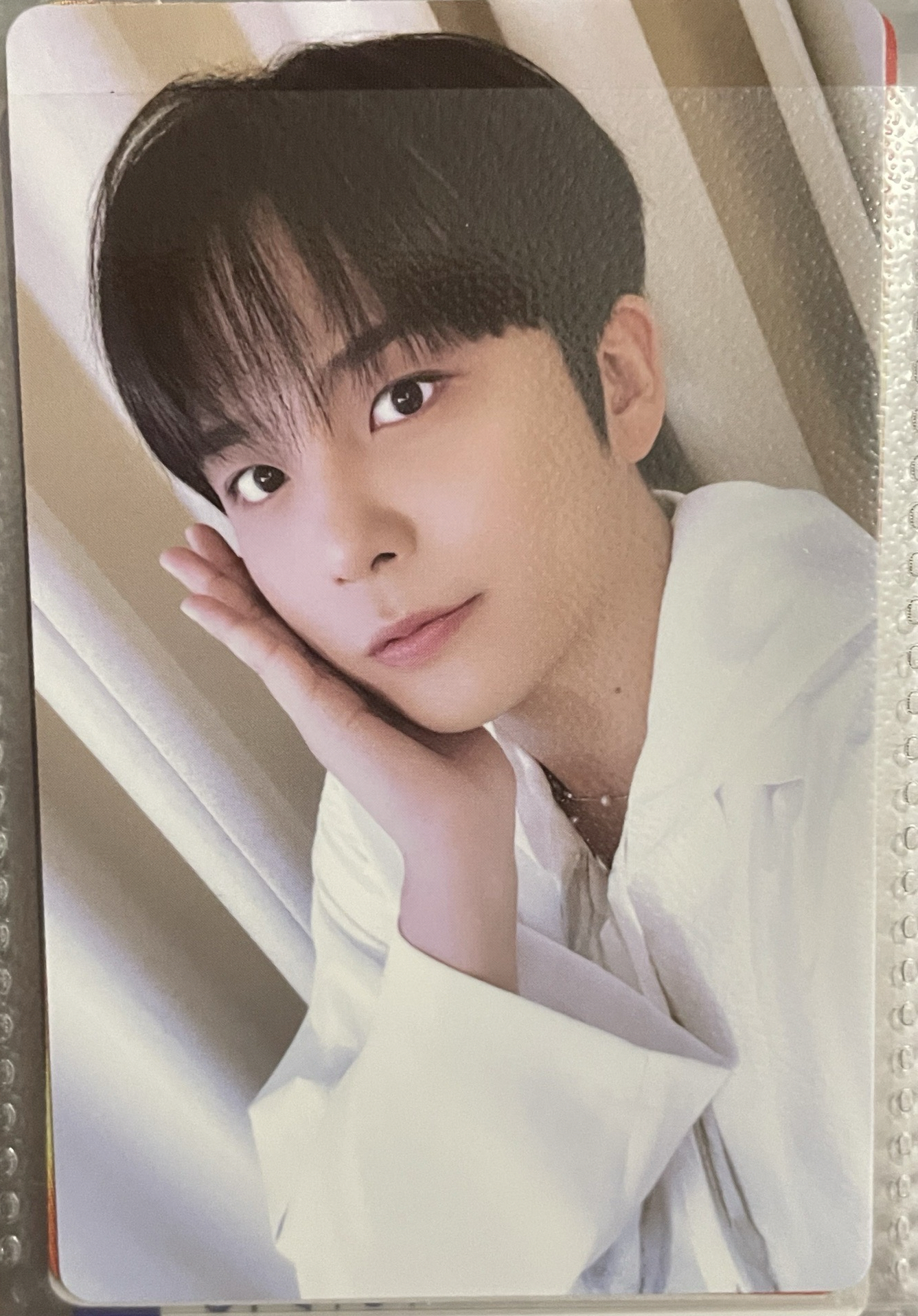 🏴‍☠️ATEEZ 好多鍾浩 🐻🐻手