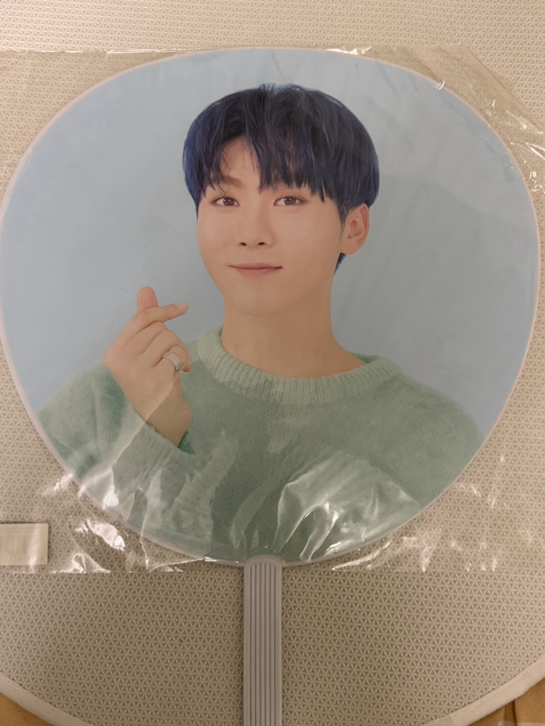 HANA DK SEUNGKWAN日扇