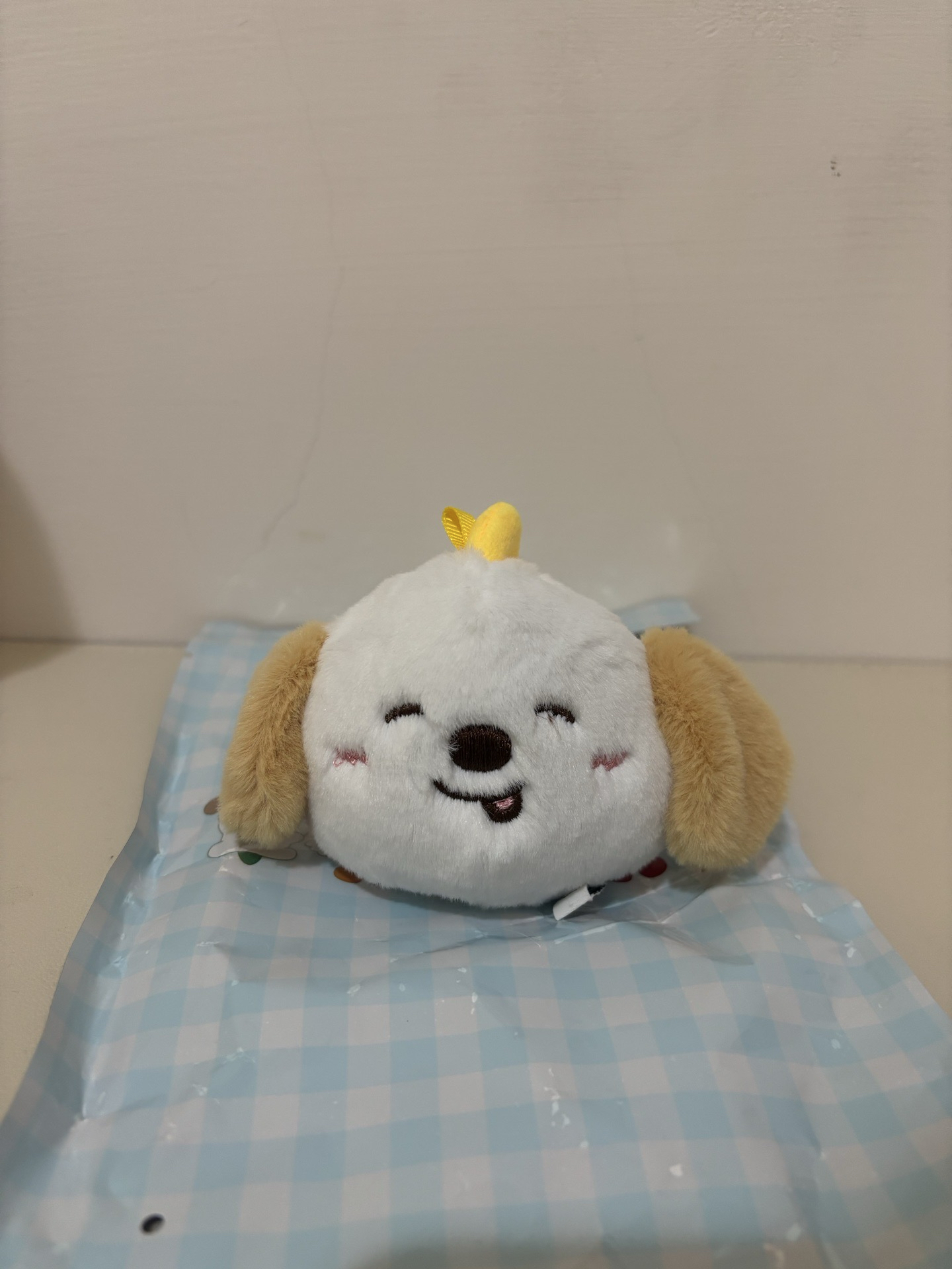 Riize 狗龍 上海快閃娃 Anton 嘻嘻ver.