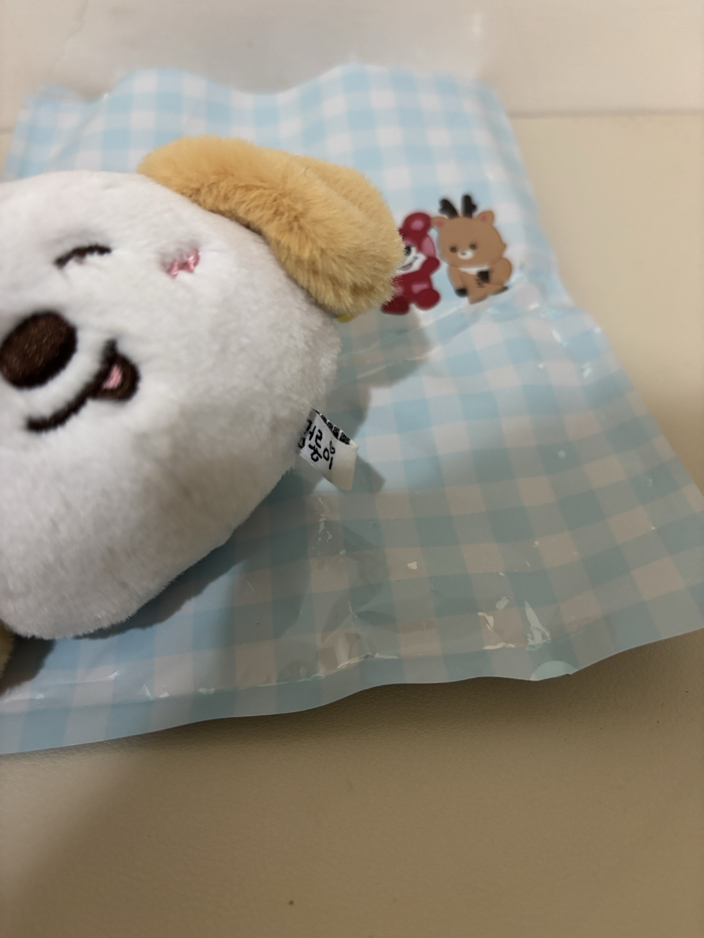 Riize 狗龍 深圳快閃娃 Anton 嘻嘻ver.