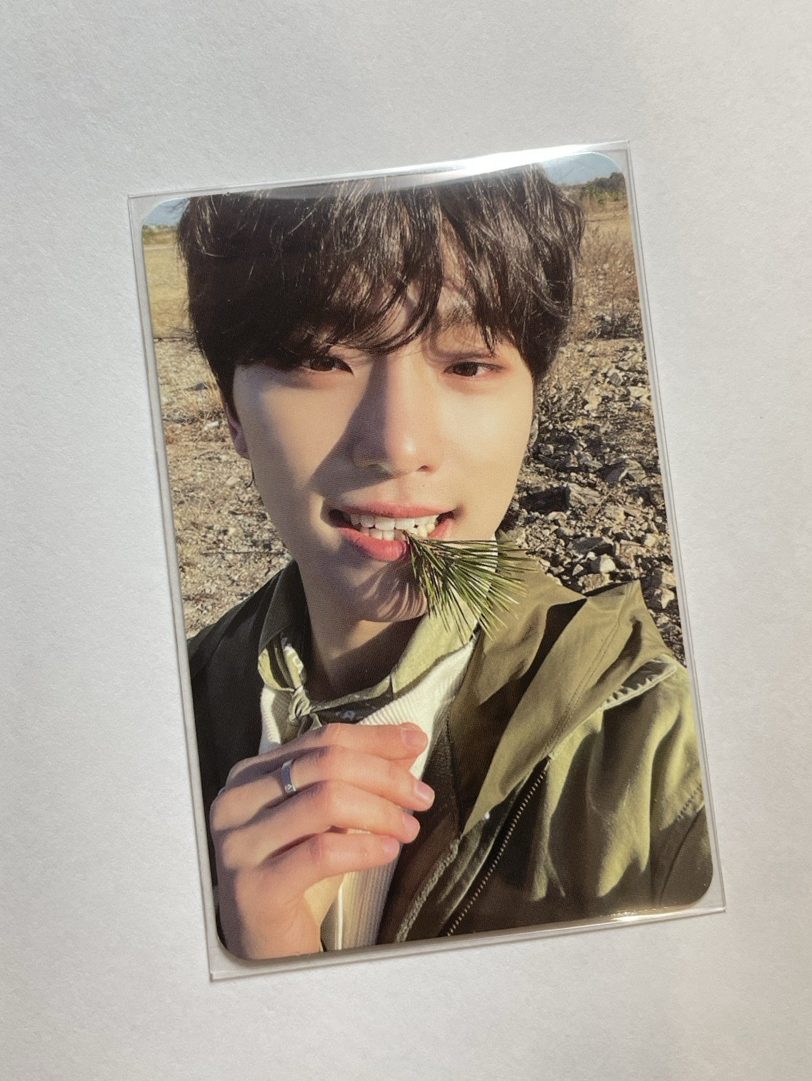 李燦 - 咬草燦🌿