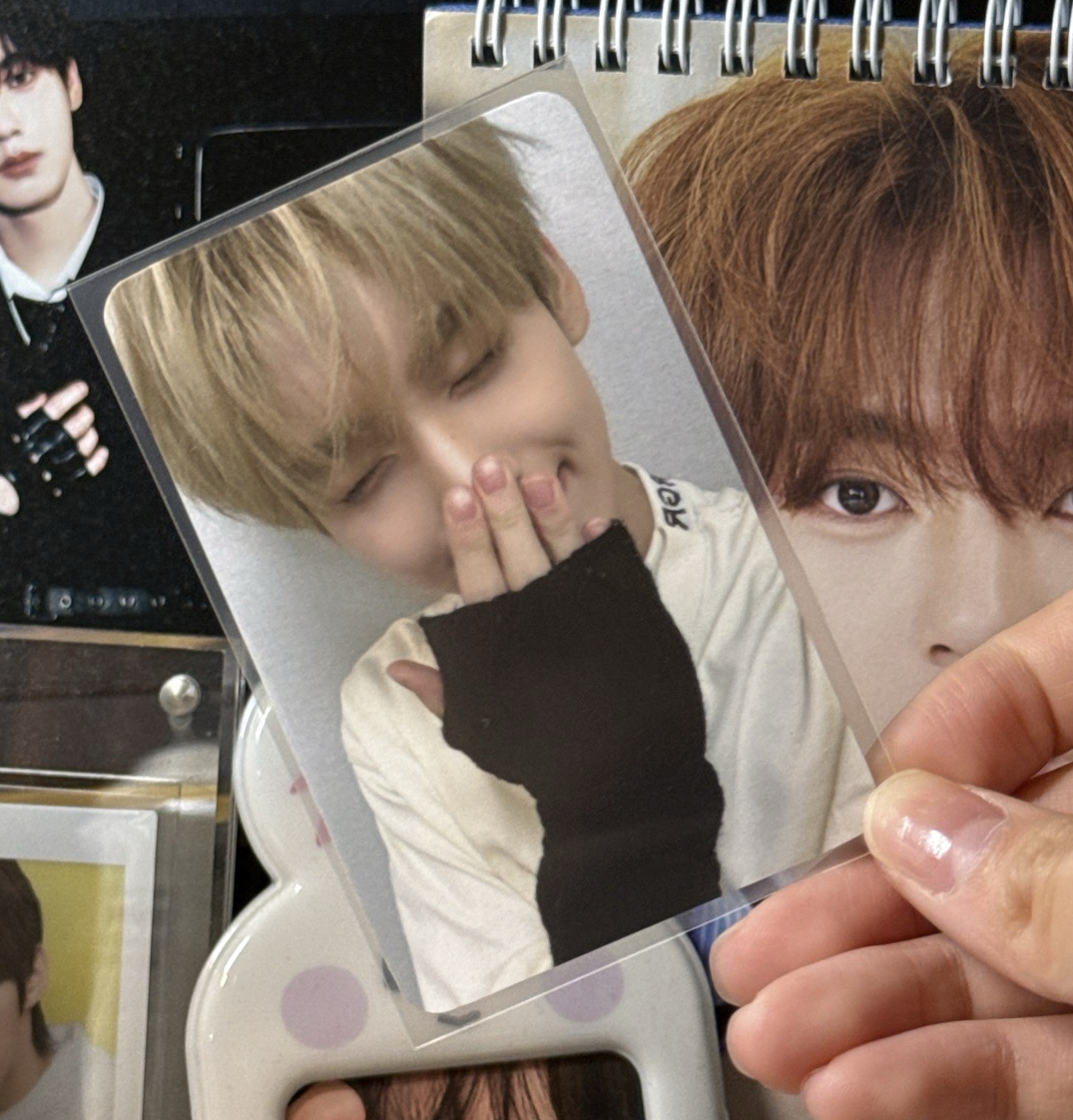 摀嘴小狗 辰🐰