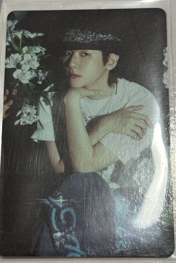 邊伯賢 bolo5專卡