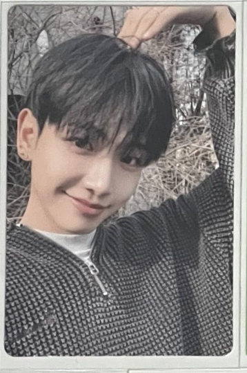 No genre 明單封專卡