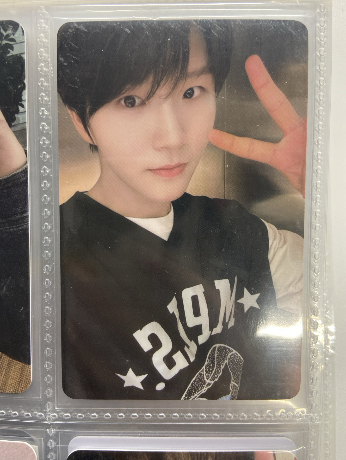 steady 星光卡 四星