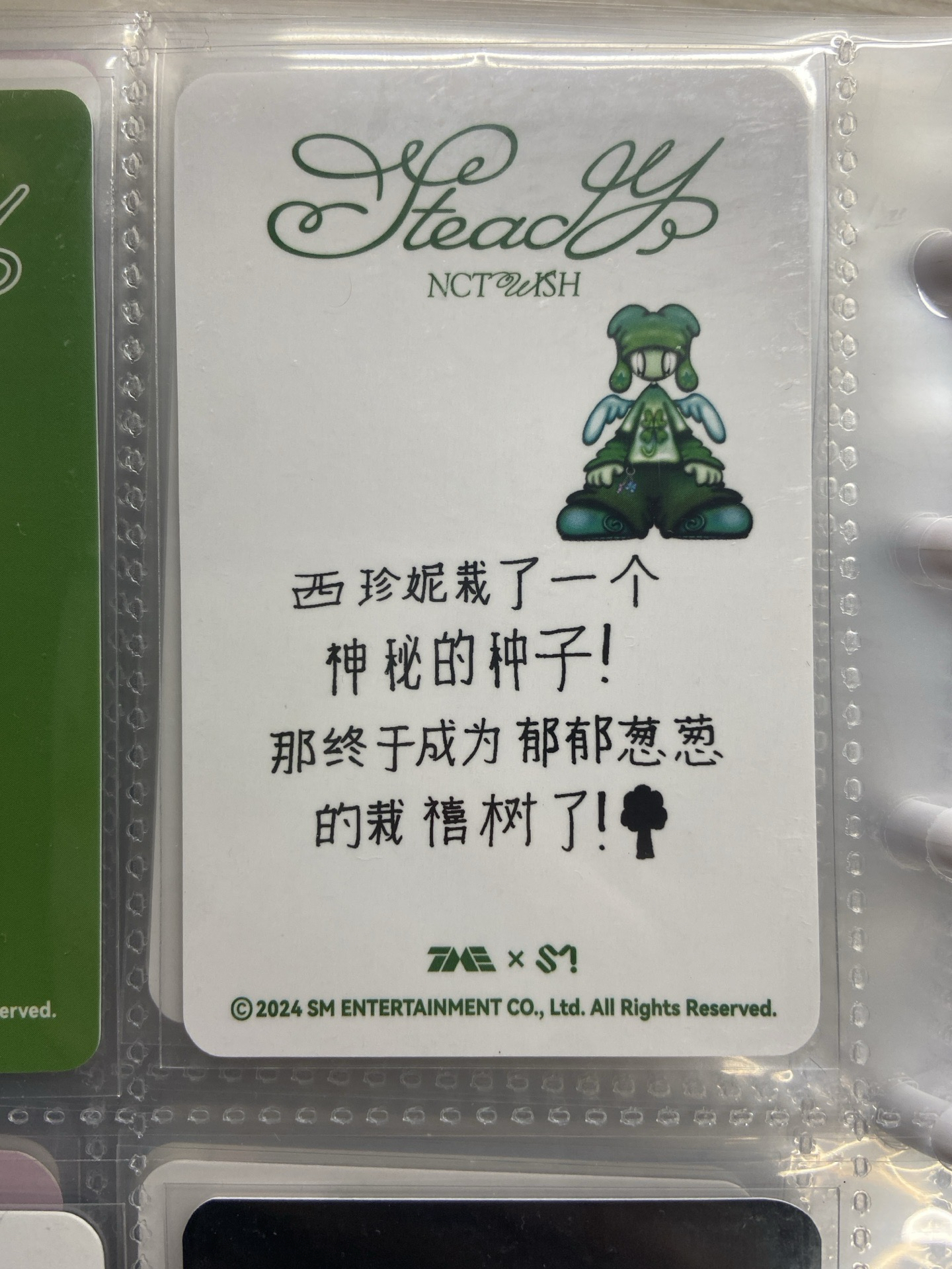 steady 星光卡 三星