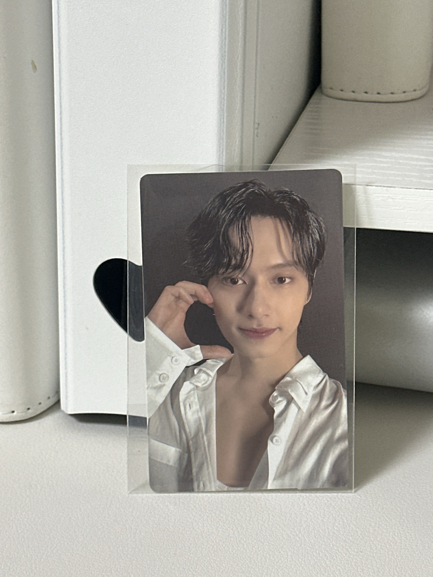 迷十二 wvs 特典卡