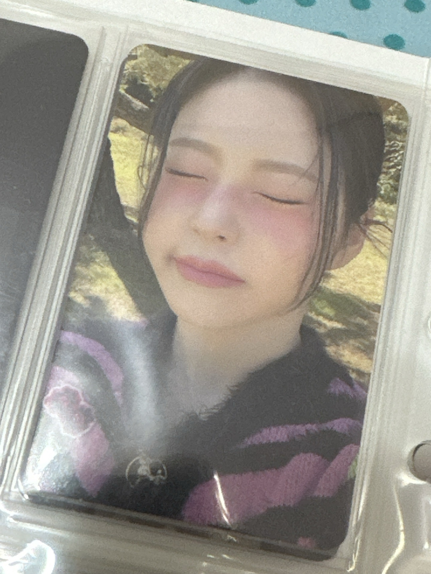 圭珍ㅣexpérgo 專輯卡 普版 ver. B