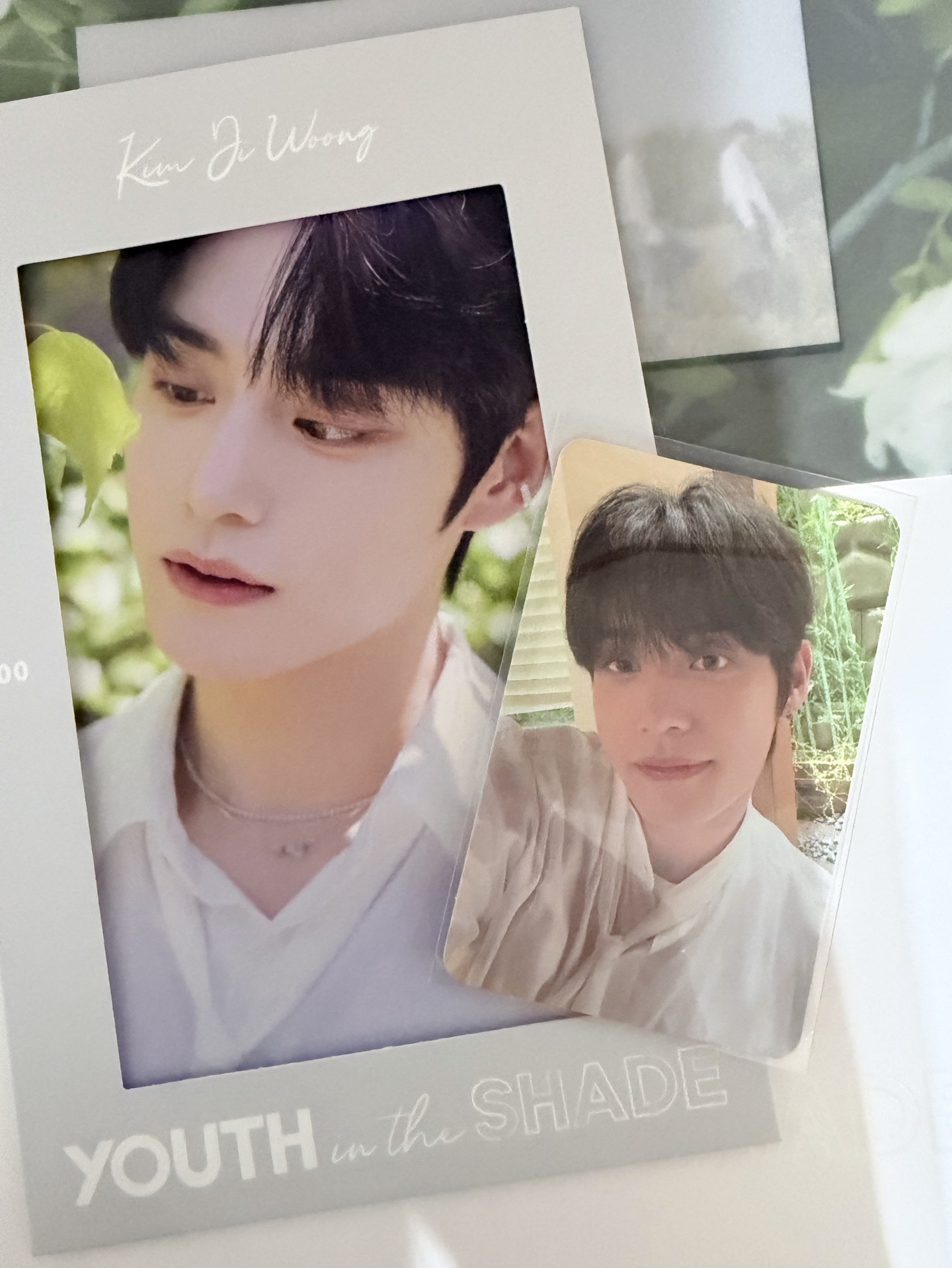 迷一 專輯卡 SHADE ver.