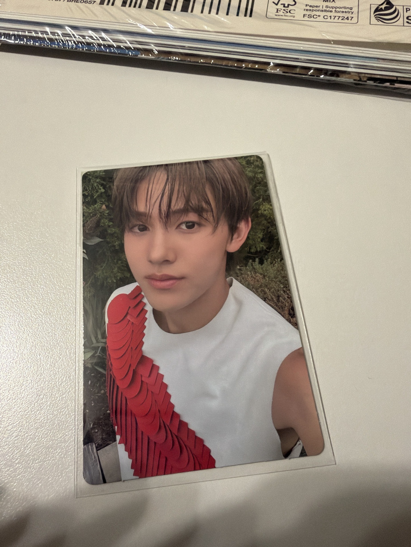 迷一 General market 專輯卡 美網專卡 成玹