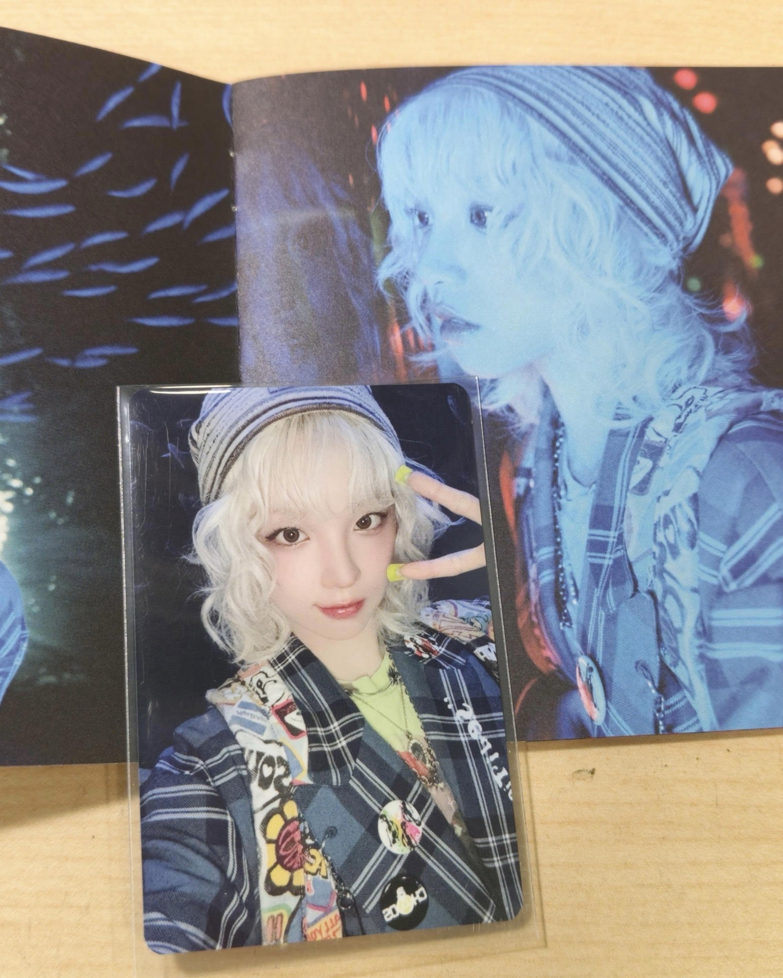 日專jc盤專卡(右)