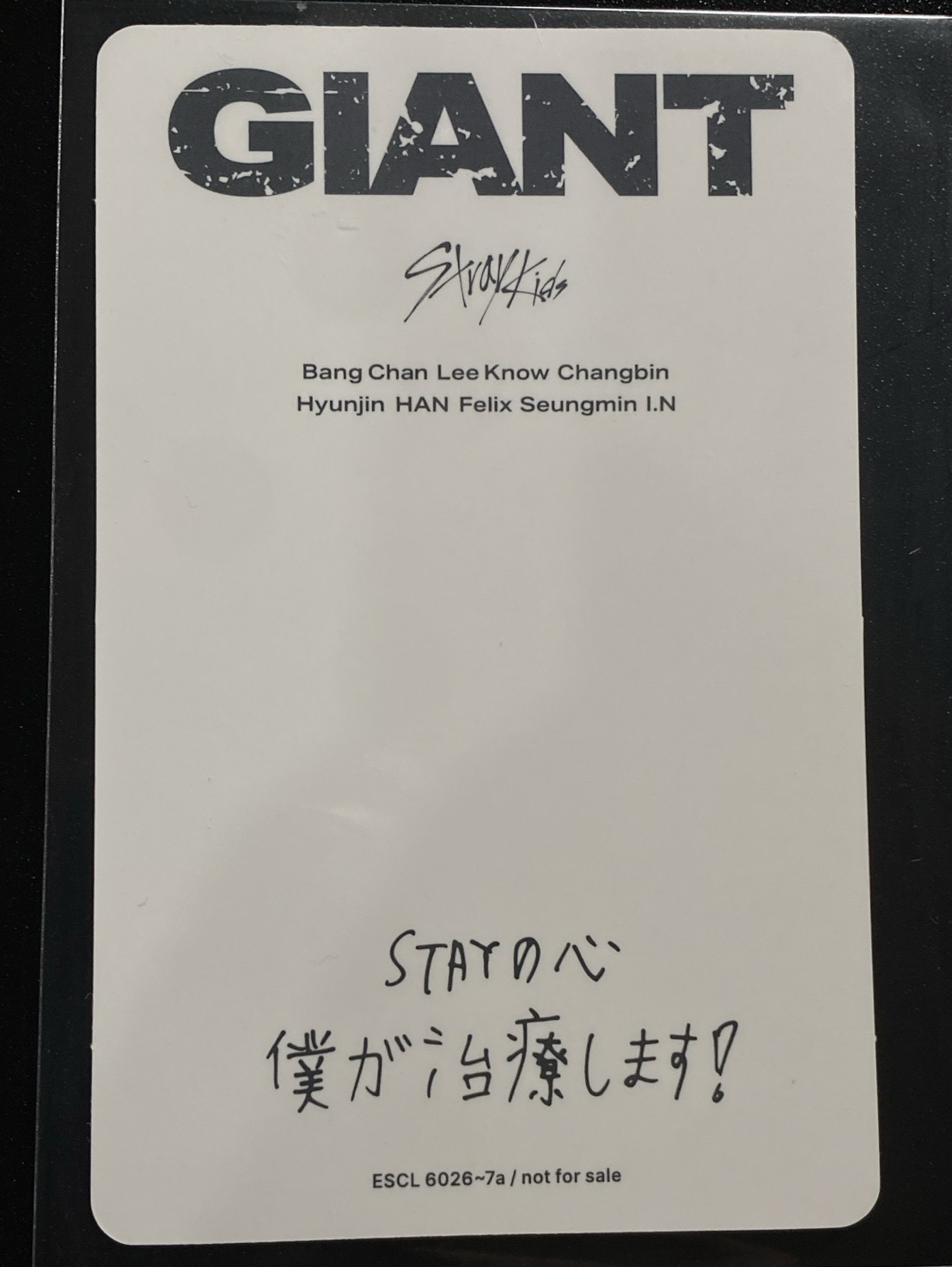 徐彰彬 HOLLOW 初回限定 卡背：STAYの心僕が治療します