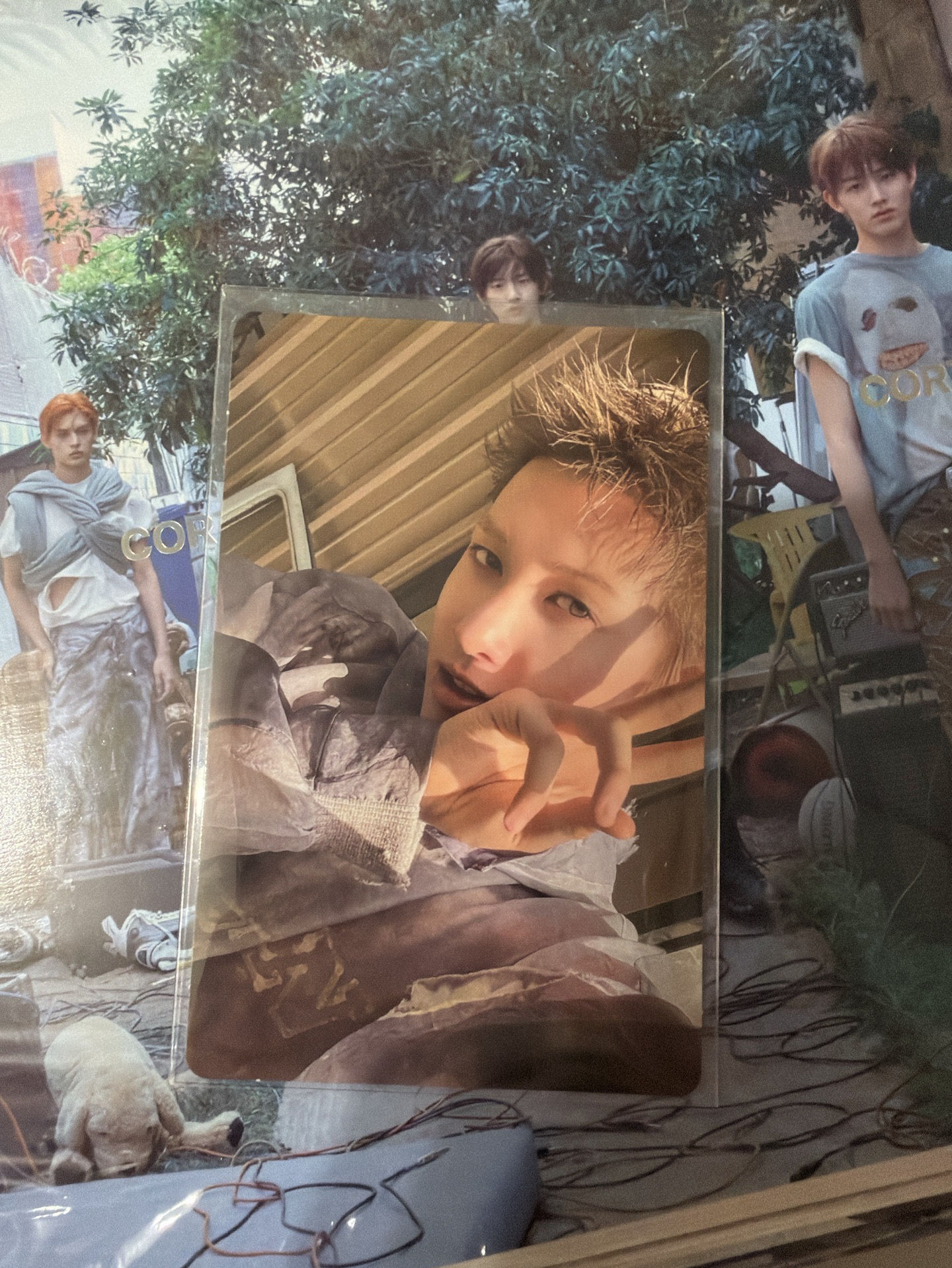 迷一 專輯卡 Scene 3 ver. 馬全專（已拆）