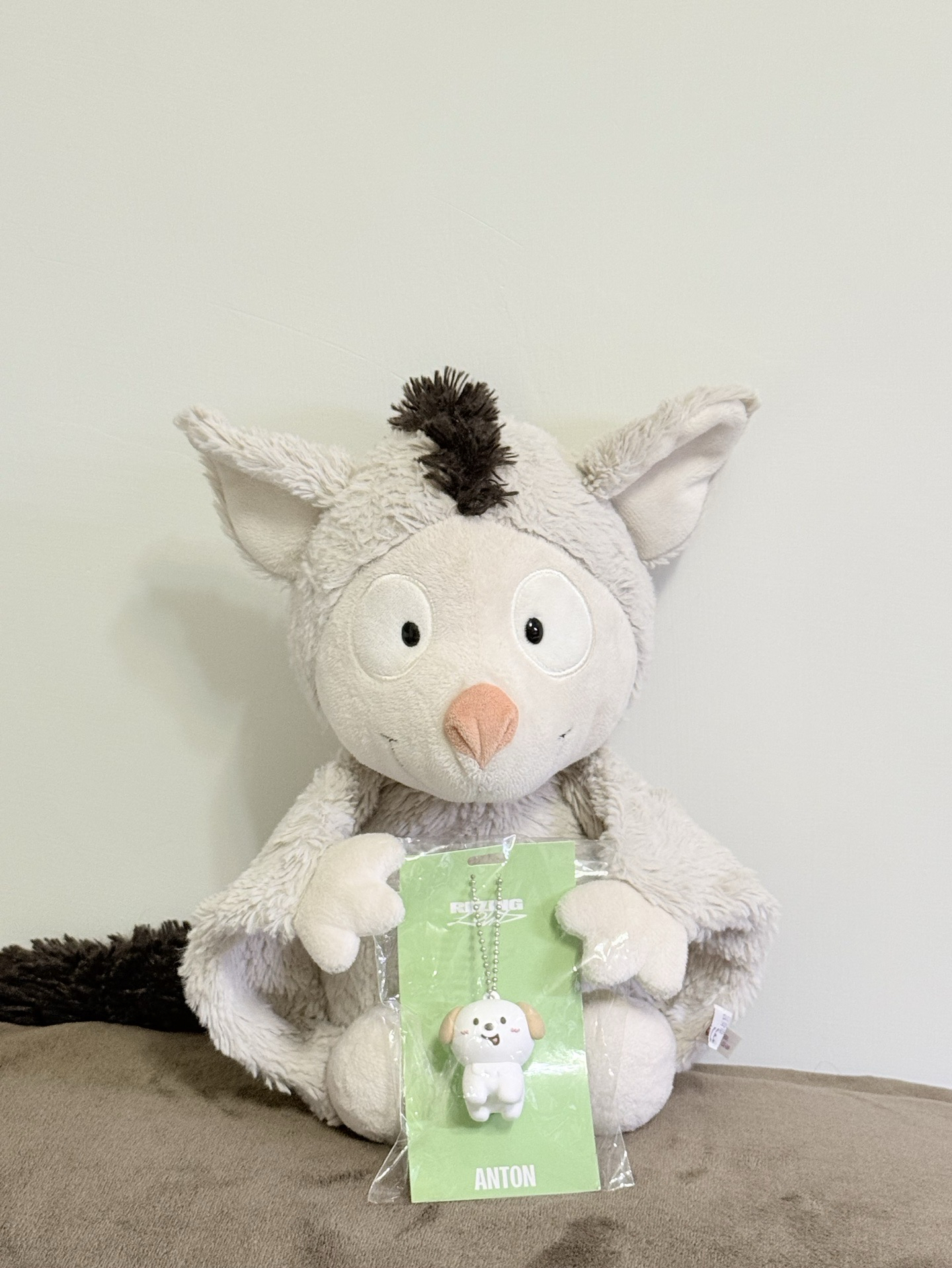 肥美狗龍徵主人（專拍）