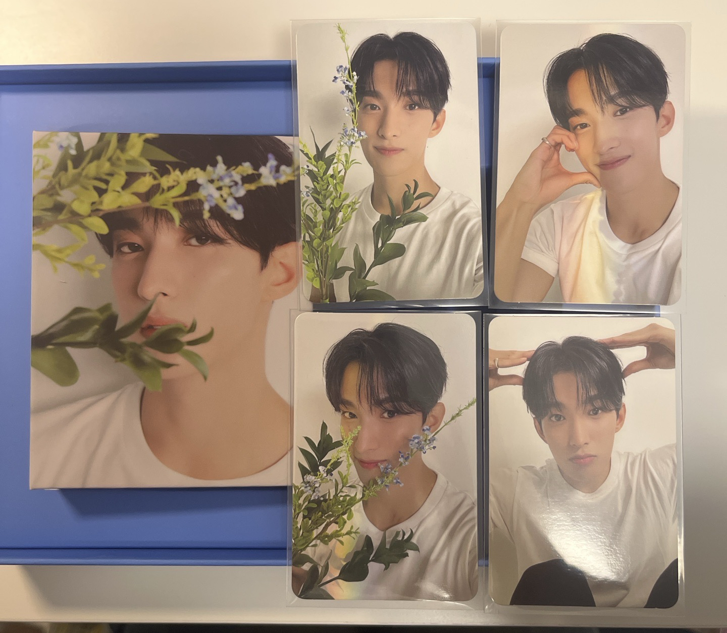 🍕精選專 克拉盤碩全專（碩一鍵畢業）