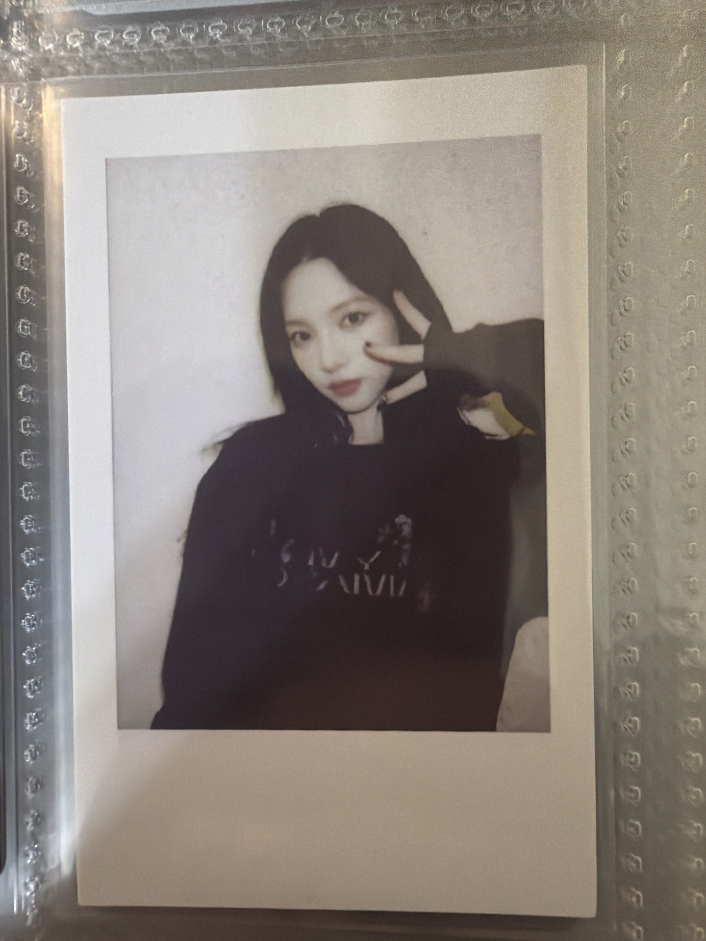 正規一 kms預售v1柚