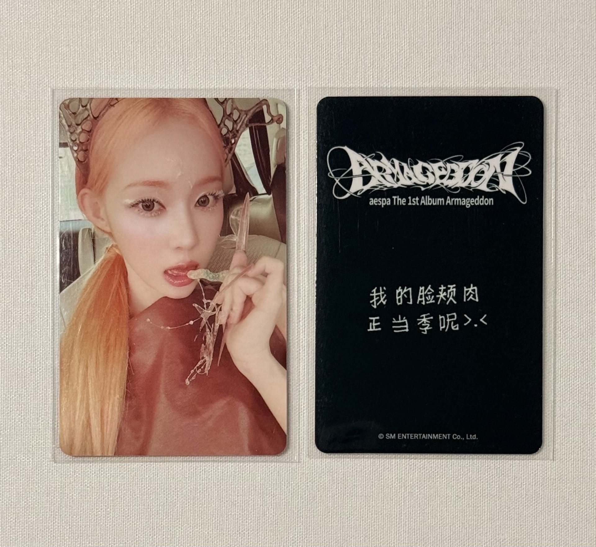 KMS預售冬 中文卡背