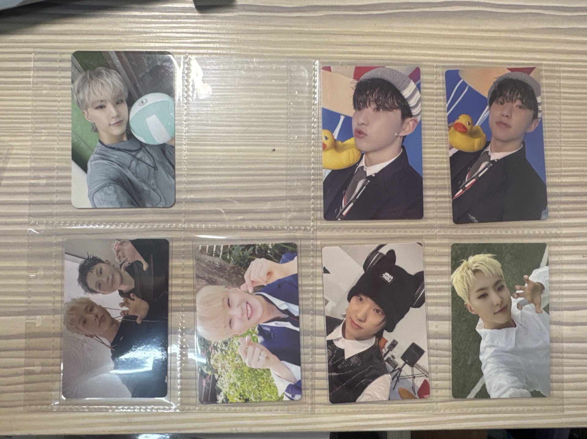 hoshi大扇&榮卡&狂氣虎兩隻（盤出）