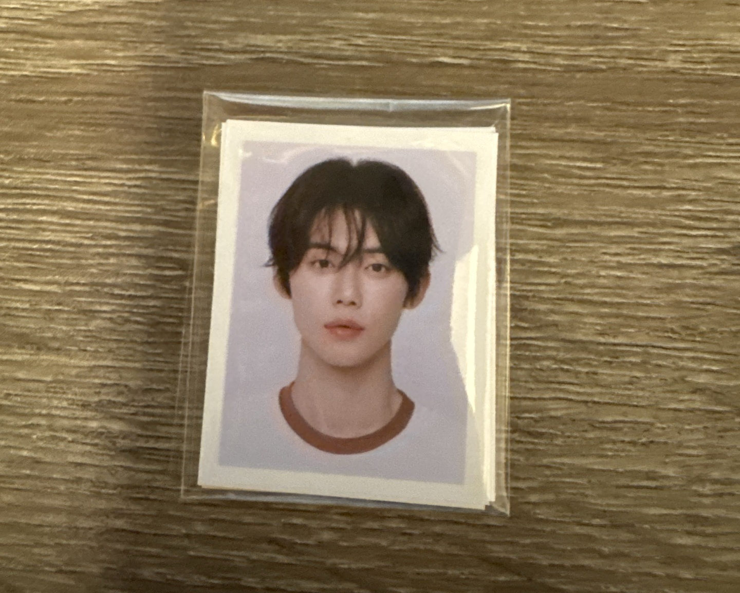 證件照一組（4張）竣