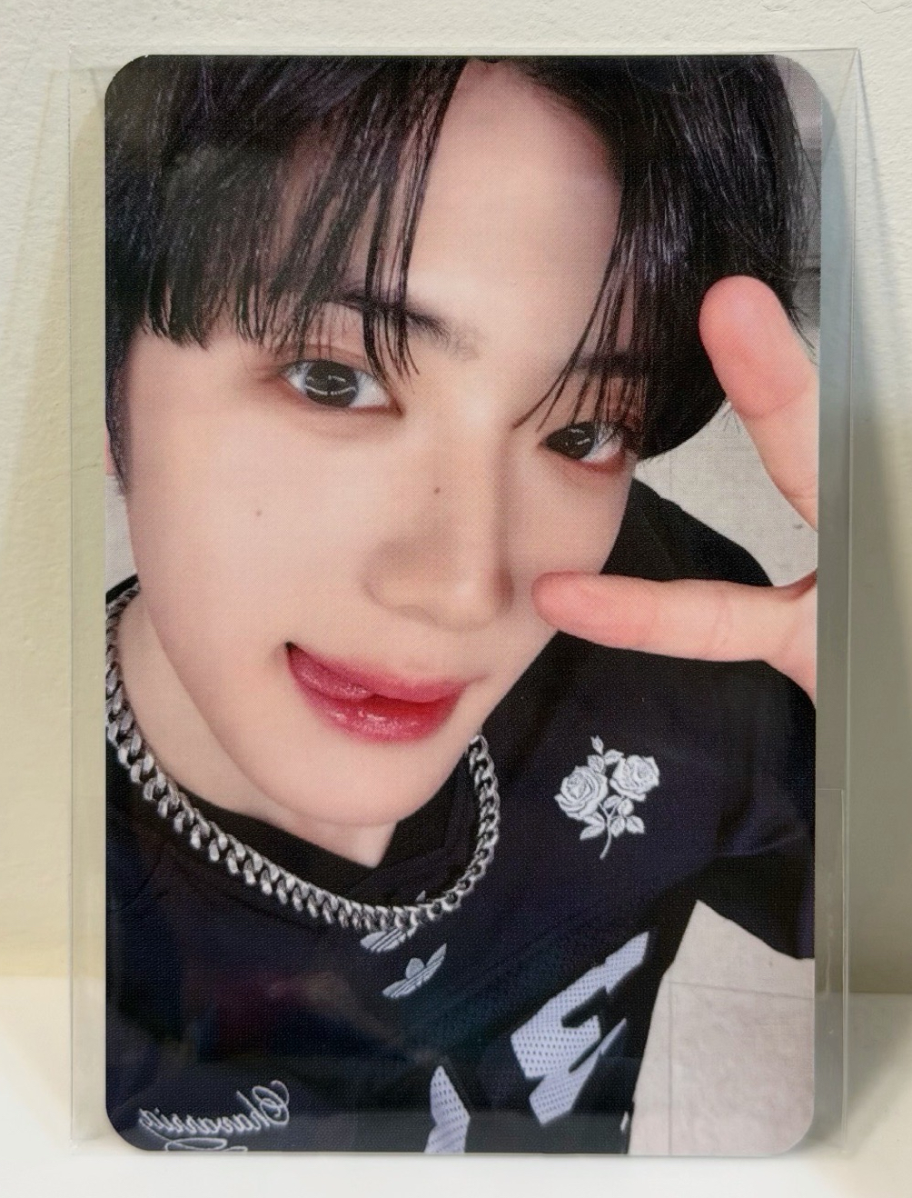 現貨/ALD1 sc午場特典卡+Star Road專輯（一卡一專🤎）