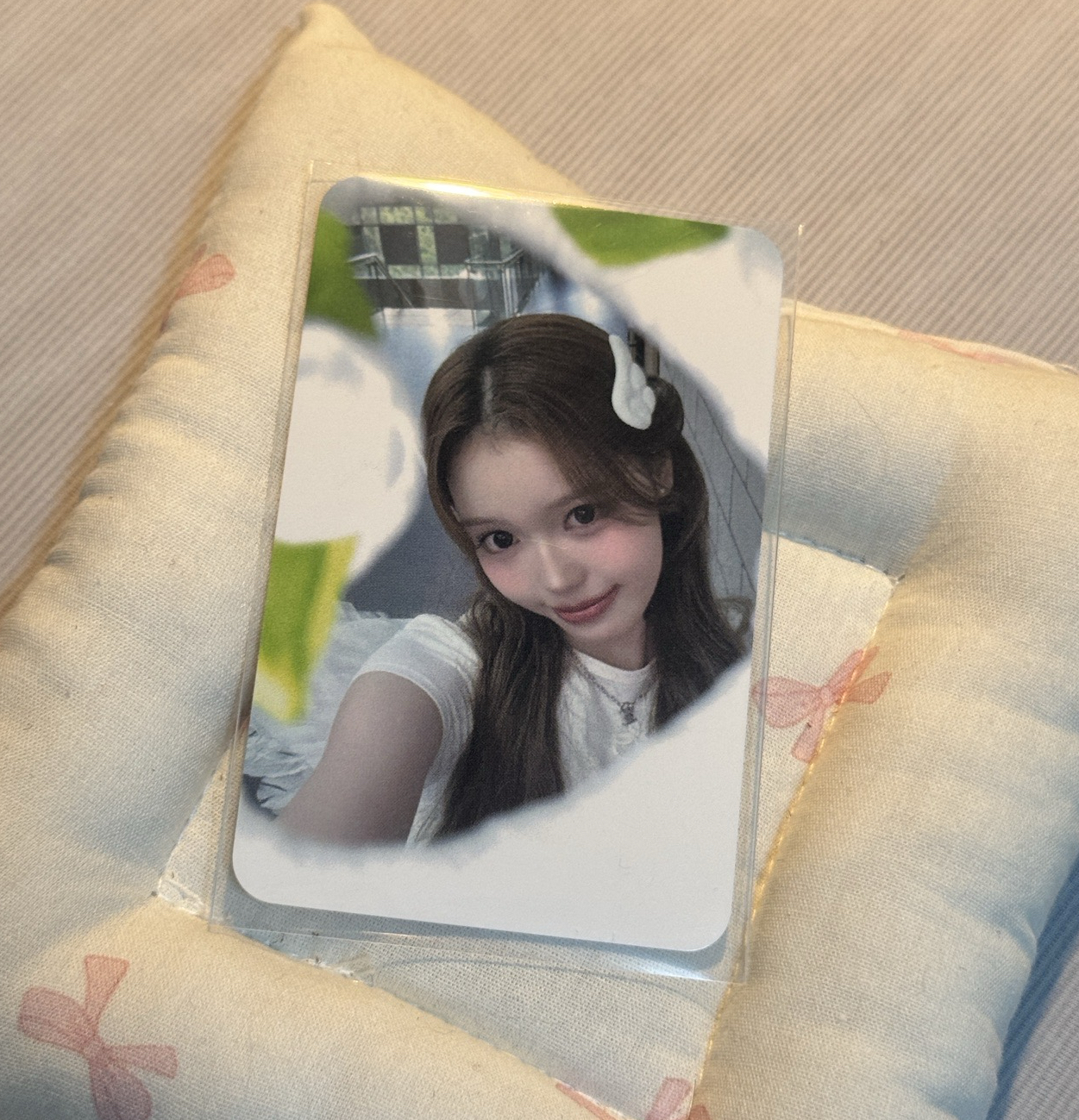 the show 打歌卡 mc卡 8.0