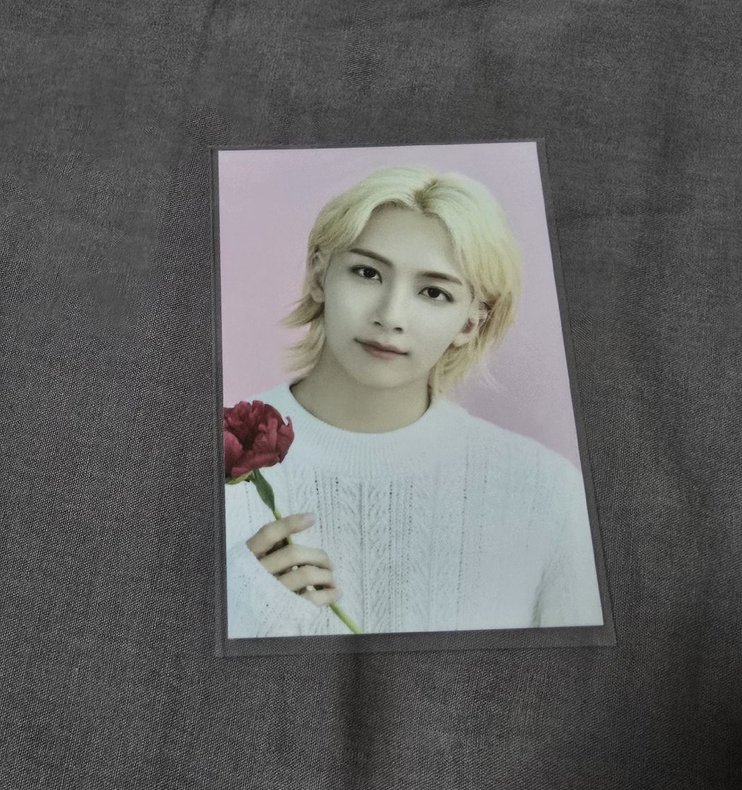 淨漢 小卡 特典