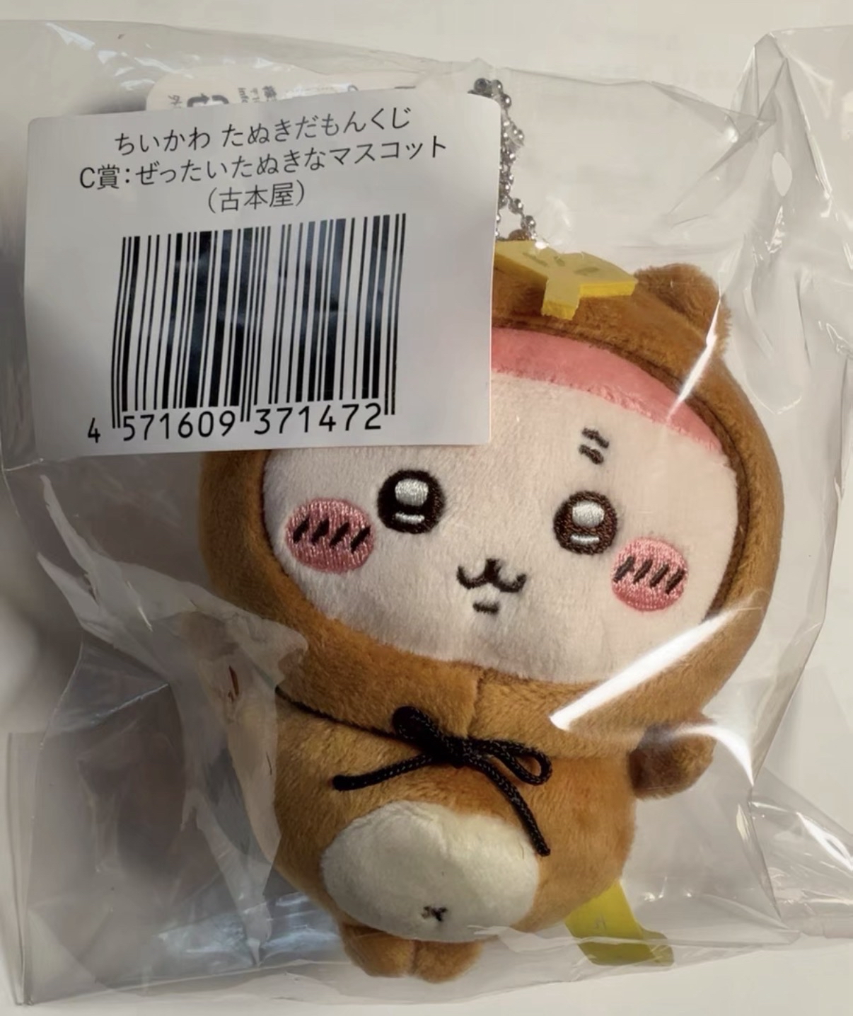 古本屋 狸貓一番賞