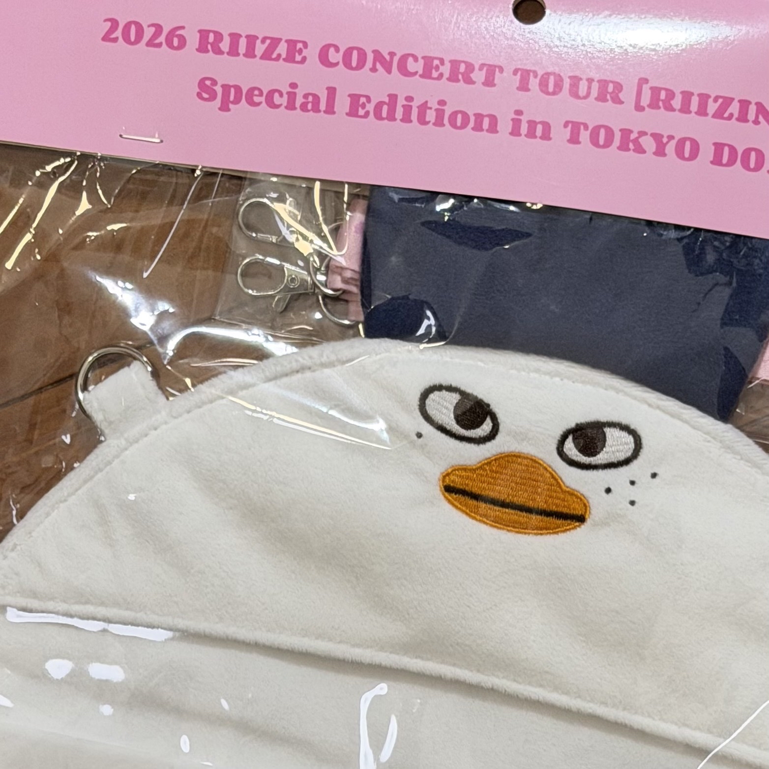 RIIZE東蛋場週 扇套 現貨在台