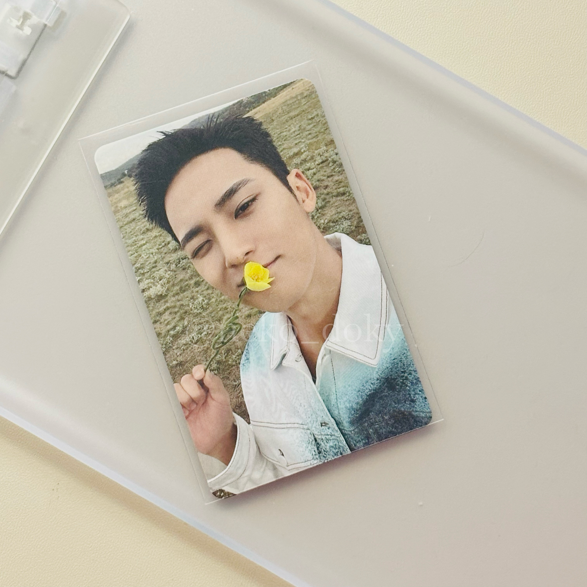 迷11福岡WVS場限 親花奎🌼