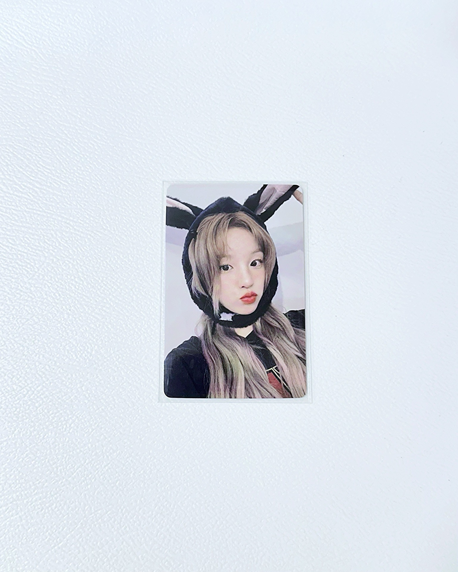 正規二/一直娛小毛驢