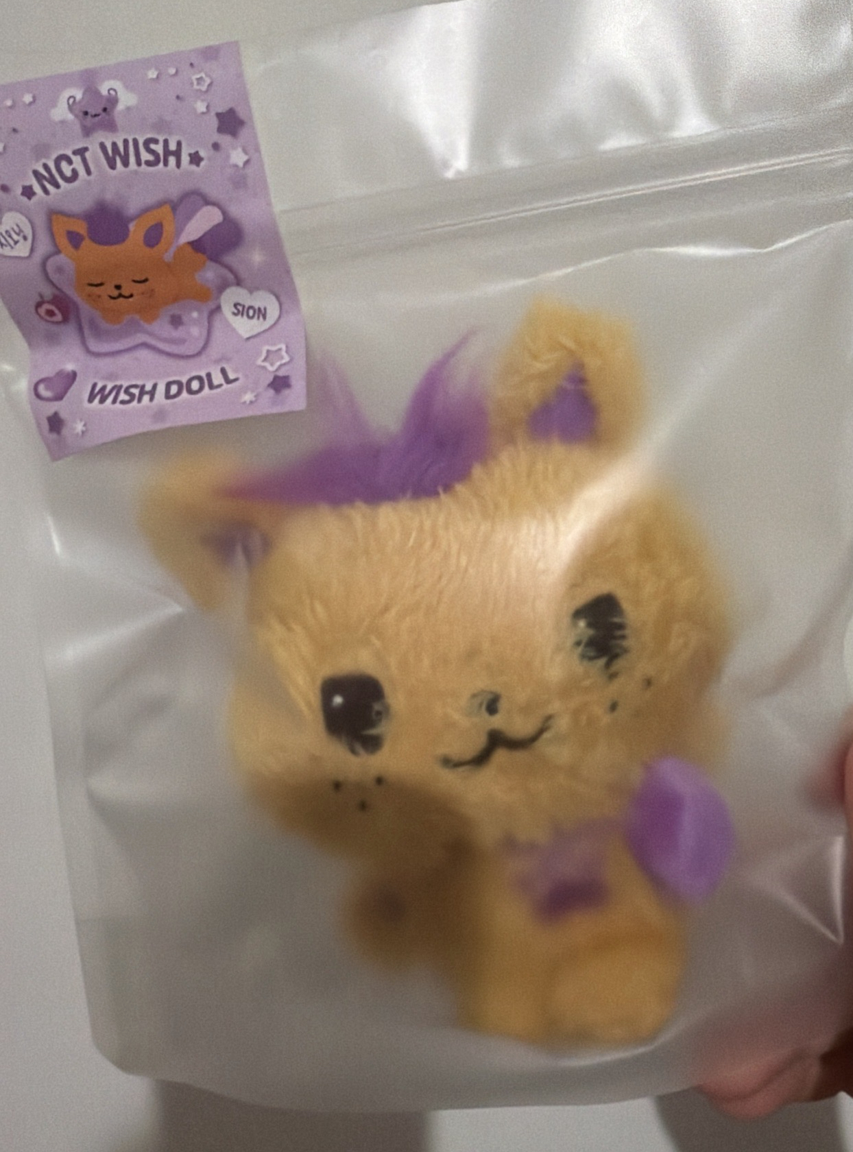 NCTWISH 無風險原皮娃➕周邊盤