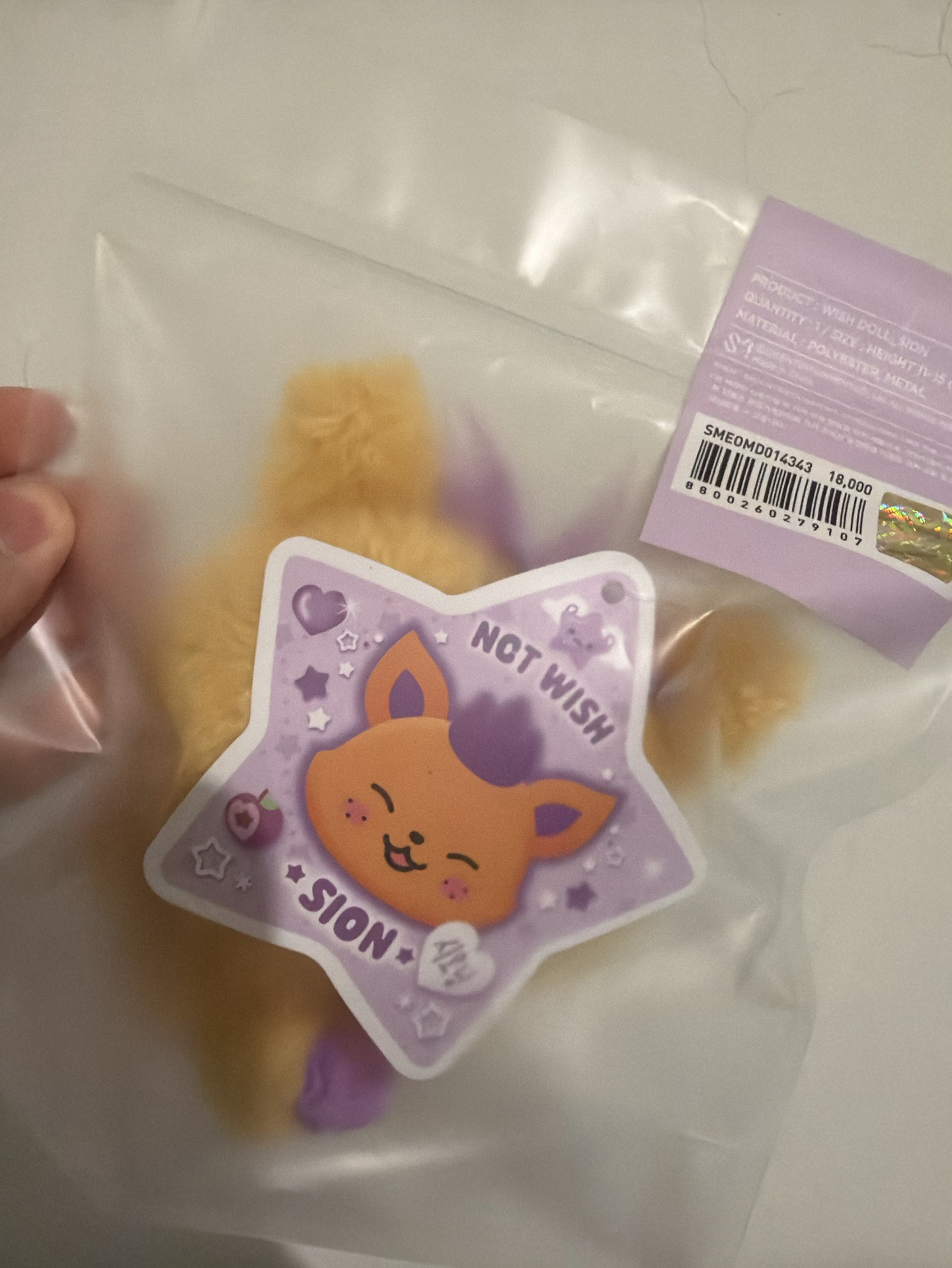 NCTWISH 原皮娃➕周邊盤