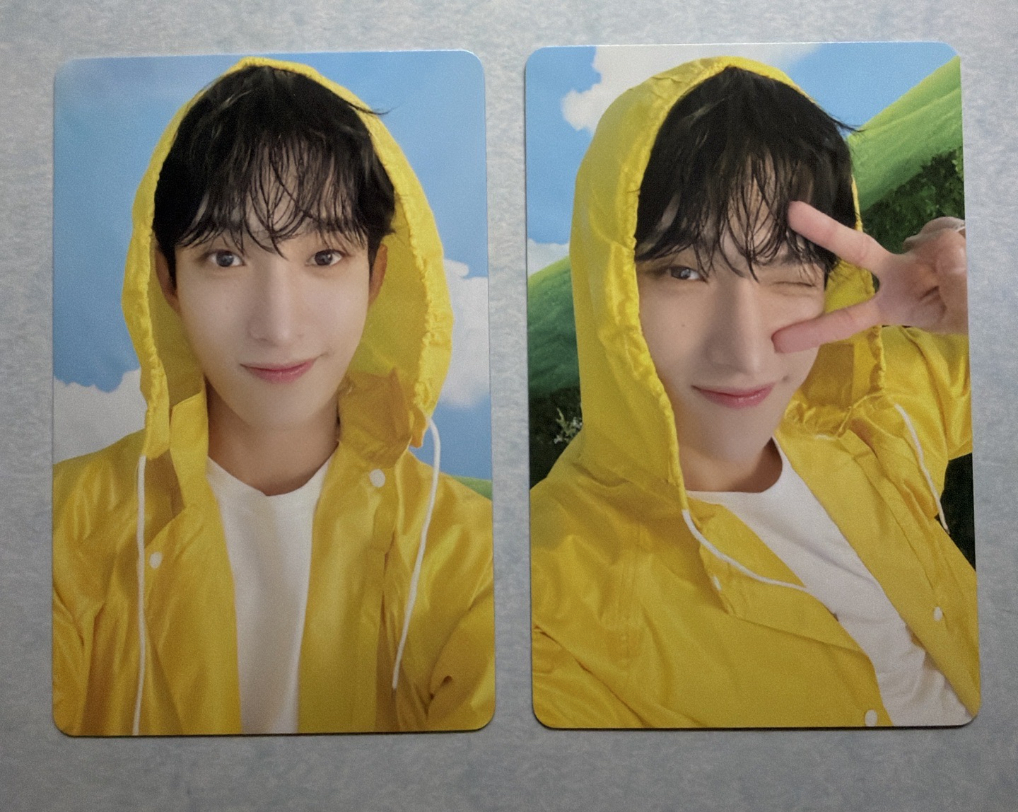 MINI 11 克拉盤 雨衣碩