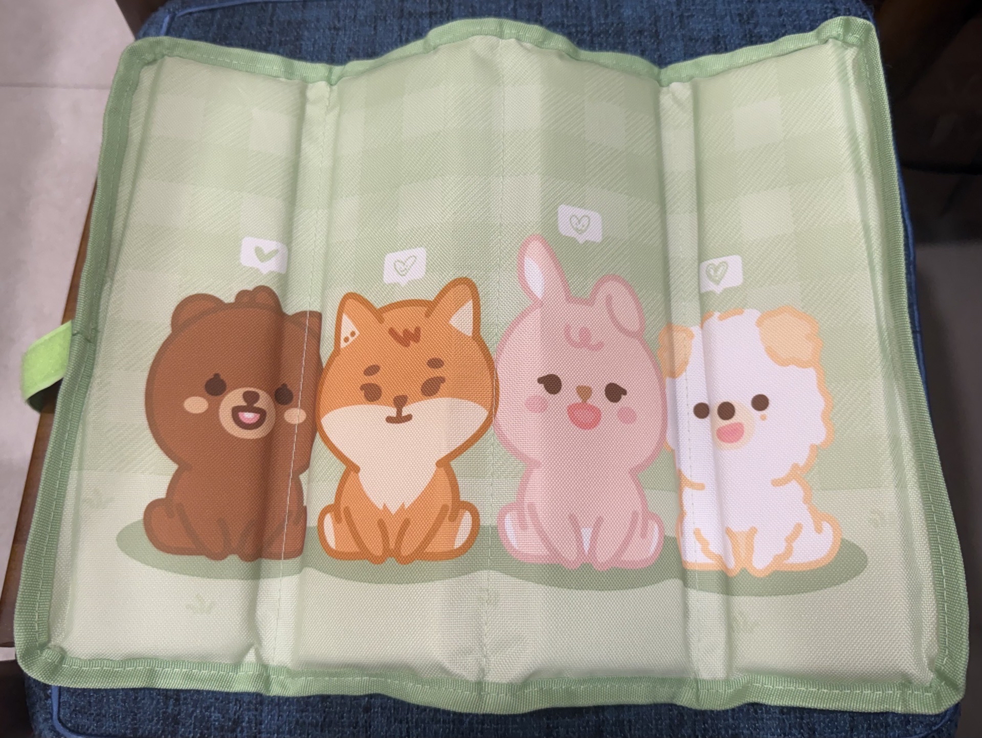 DAY6 墊子 含四格卡 The Decade