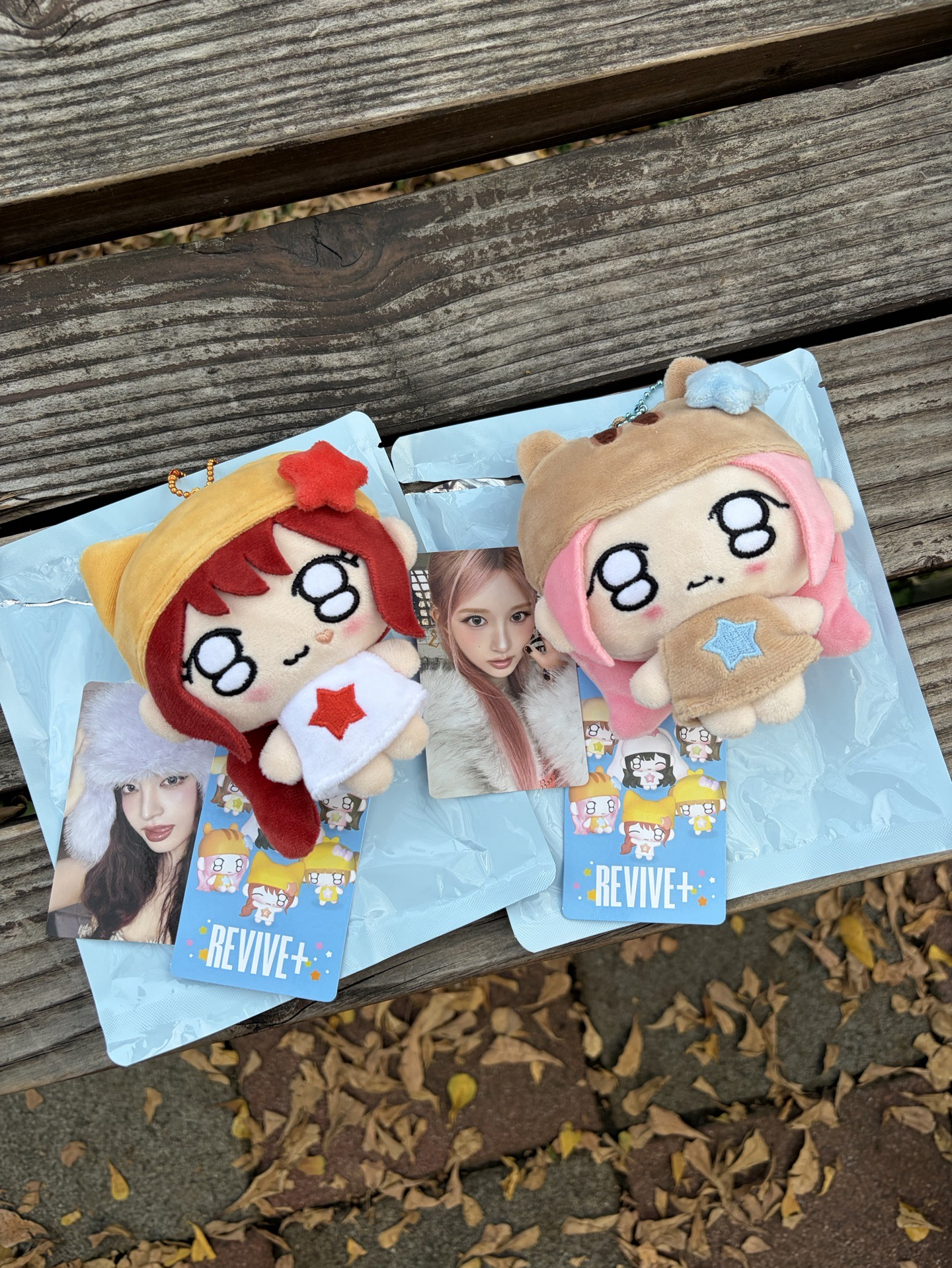 IVE REVIVE+ 娃專 栗 秋