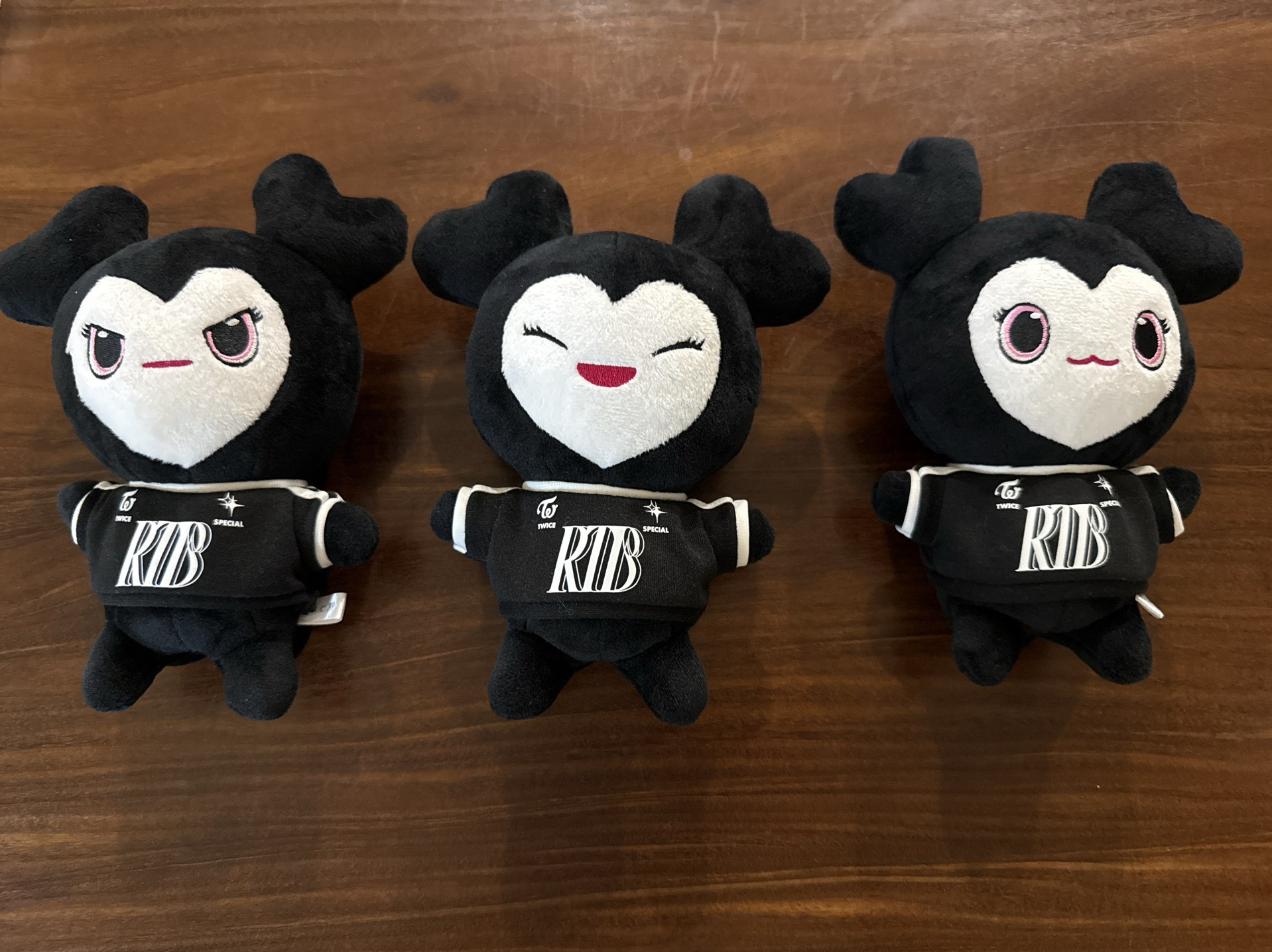 TWICE 5巡《日本會員升級禮》黑色LIVELY