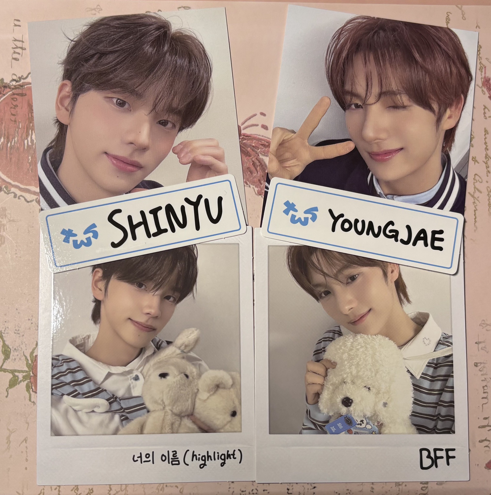 飯咪回憶錄 Shinyu Youngjae 合售