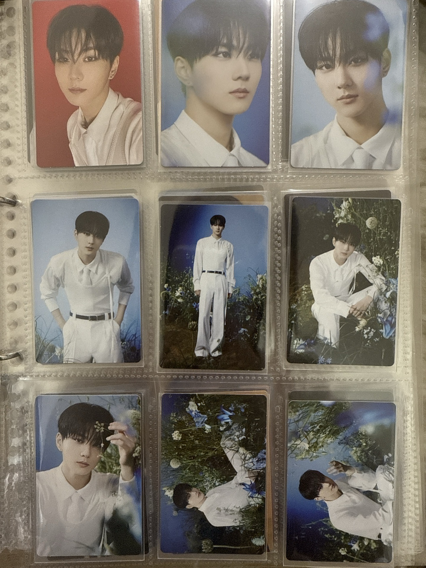 [EN-] 禎元 WTL FINAL 隨機卡 