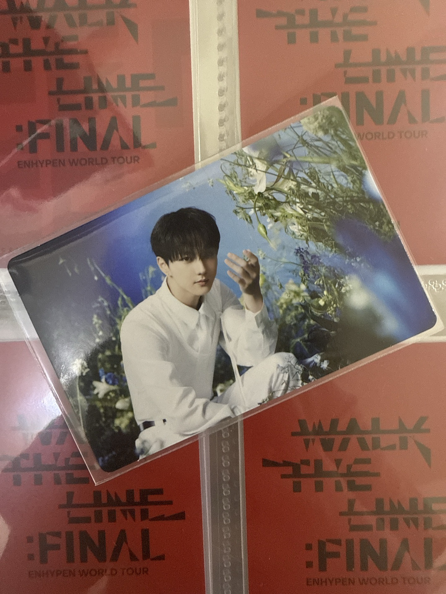 禎元 02/08 坐姿撫花