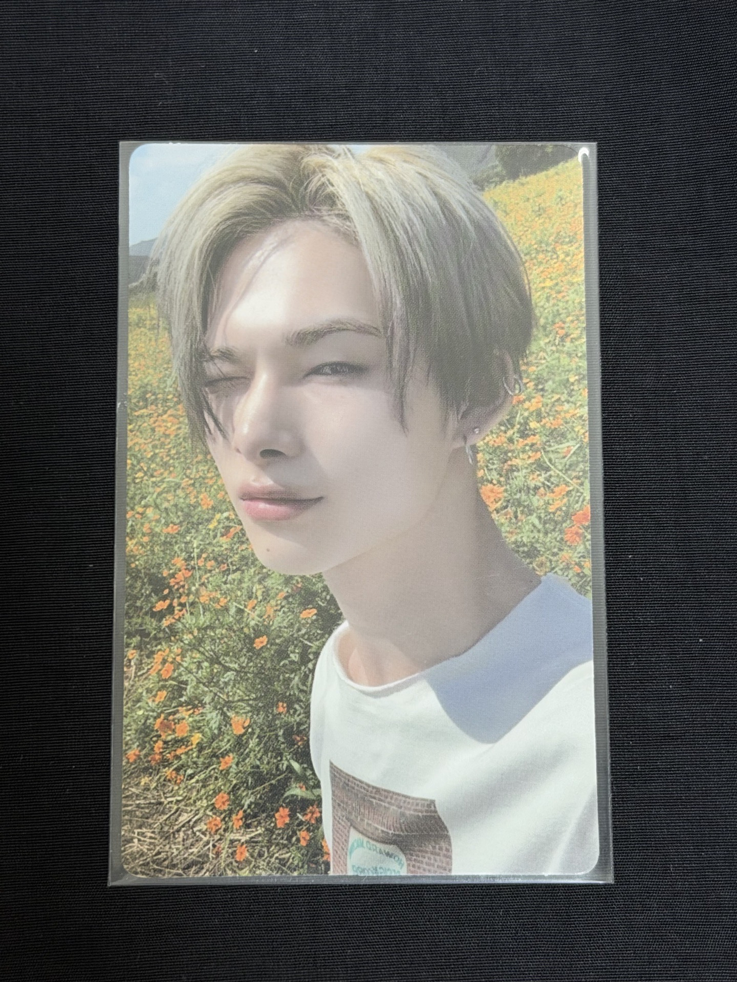 ENHYPEN 迷五 專卡 