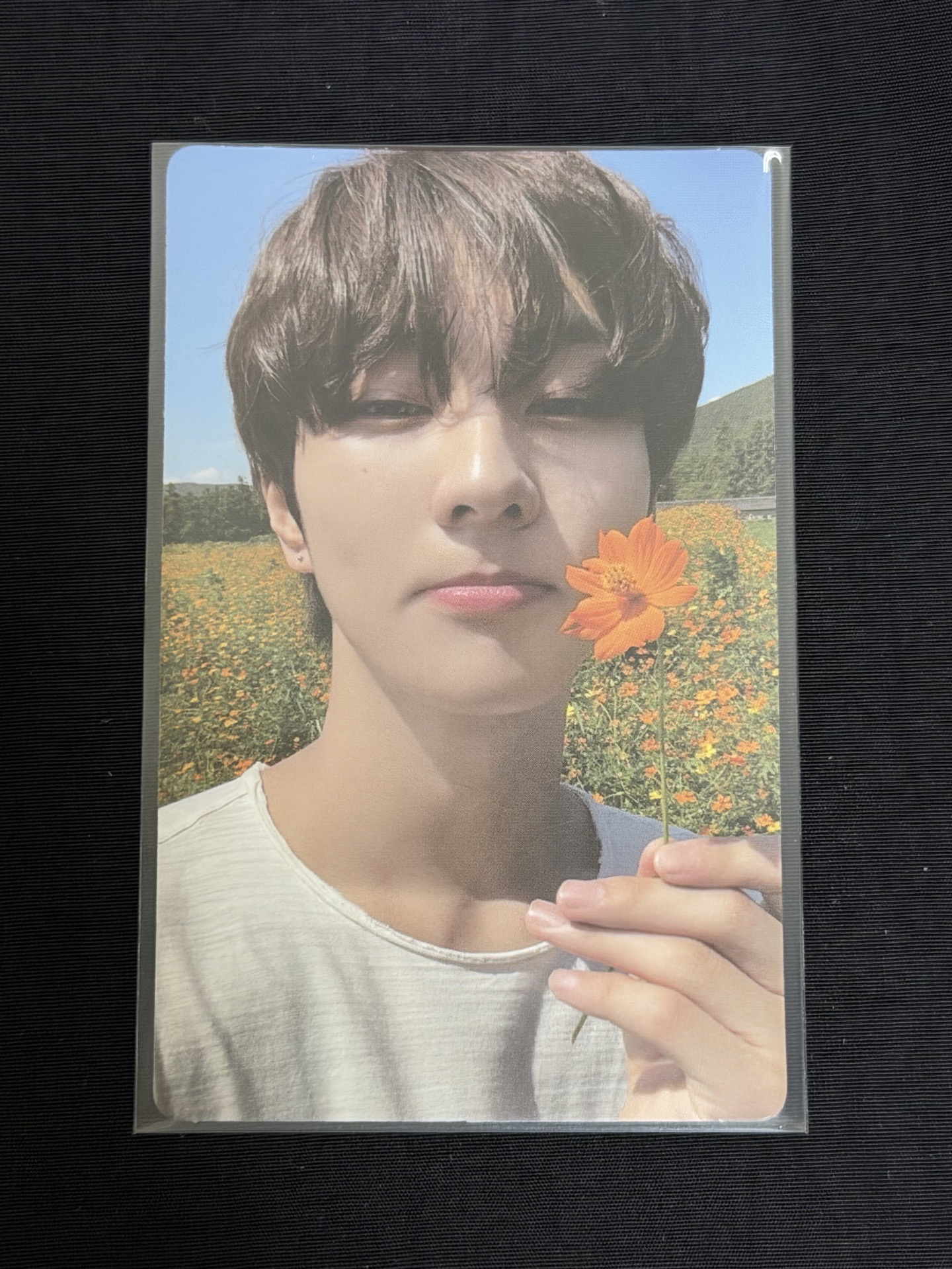 ENHYPEN 迷五 專卡 