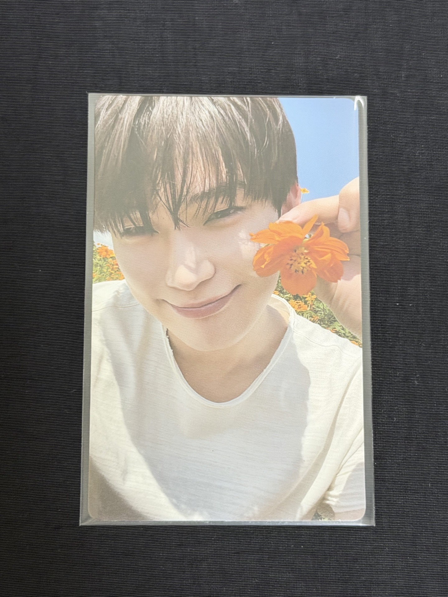 ENHYPEN 迷五 專卡 