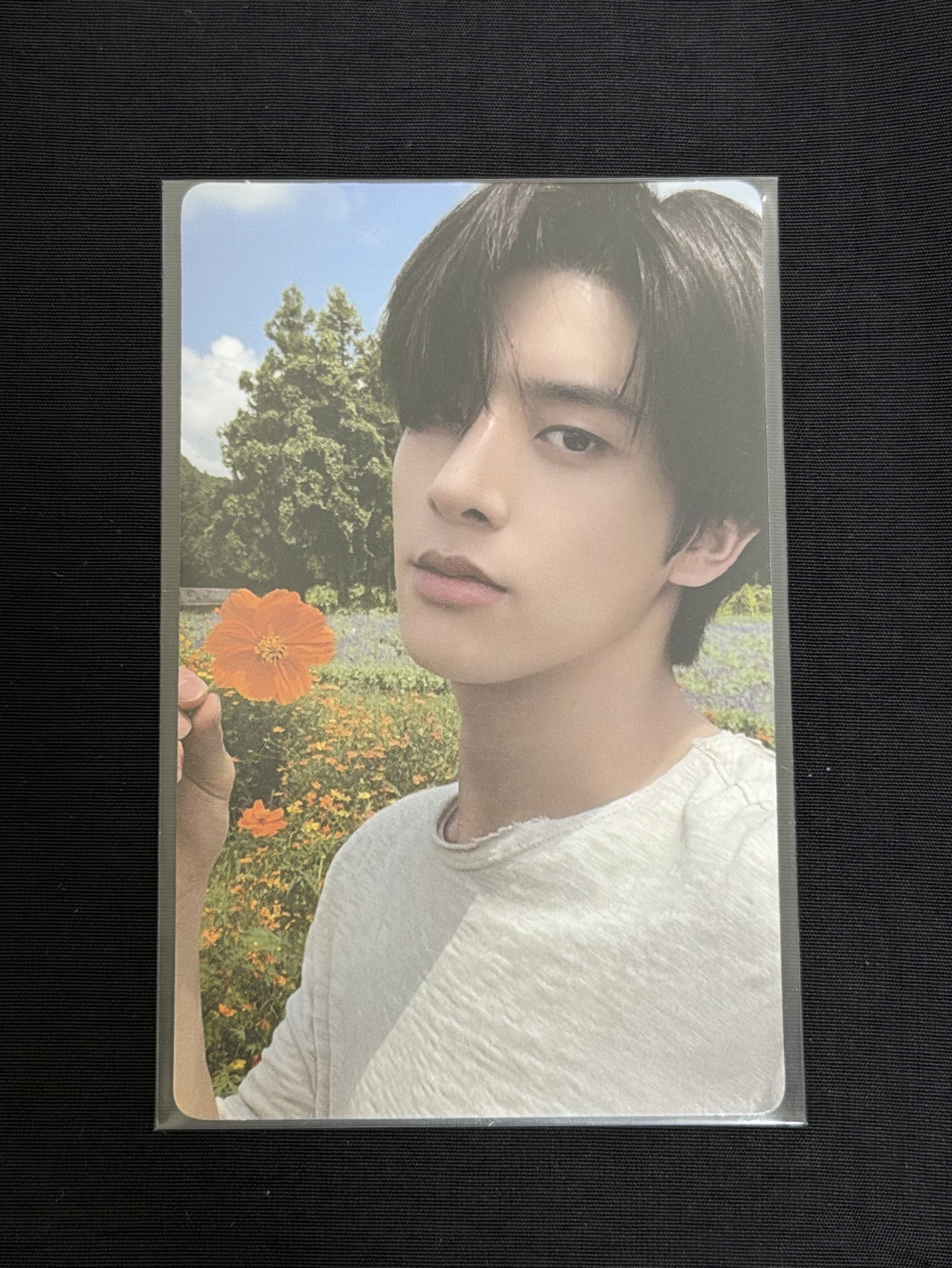 ENHYPEN 迷五 專卡 