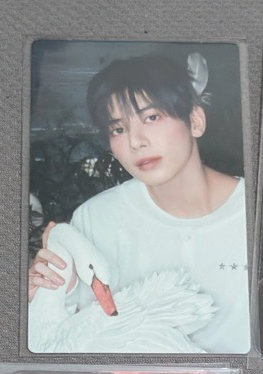 日專初回A 天鵝顯