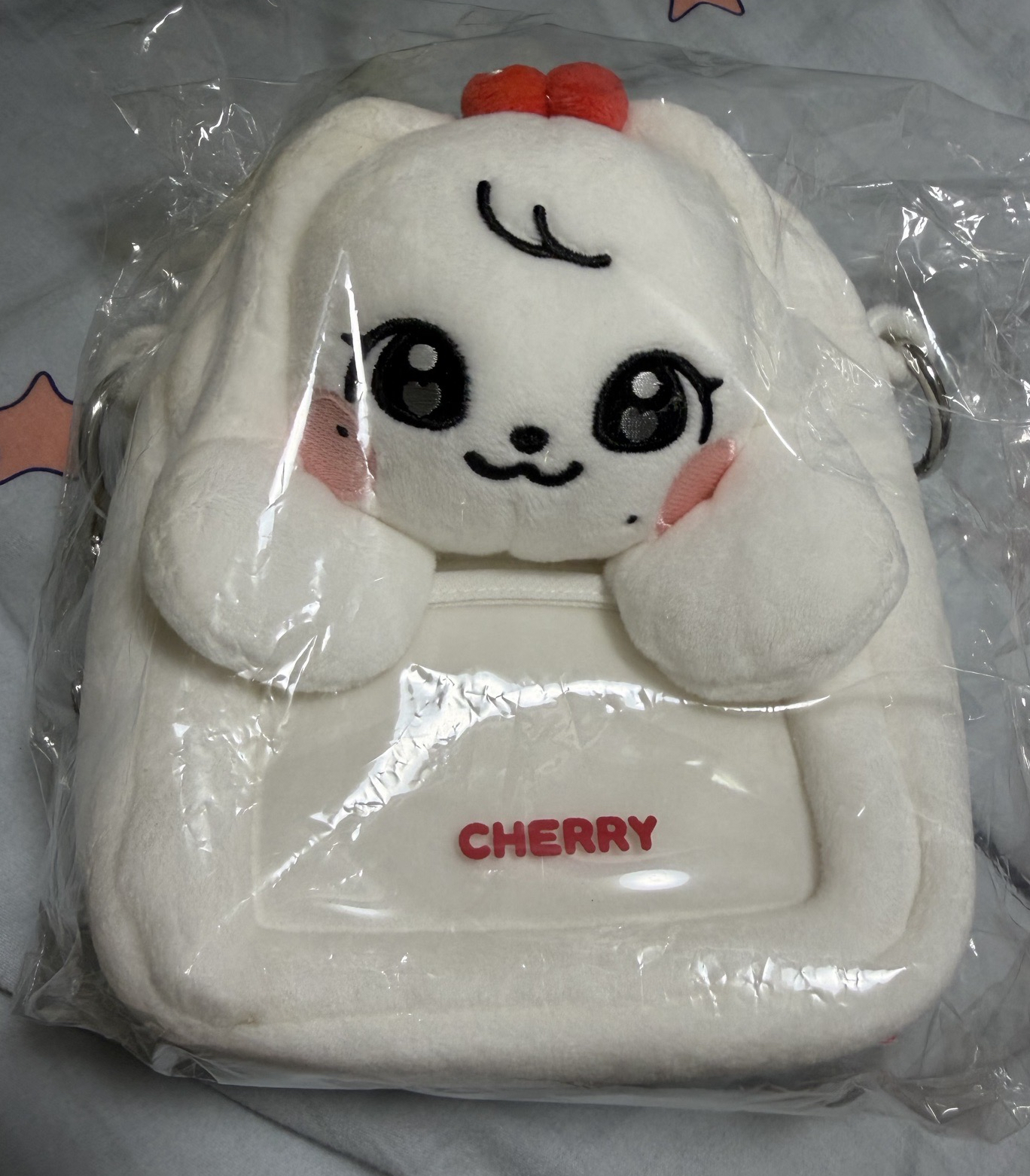 IVE-MINIVE SCHOOL CHERRY 張員瑛大頭包